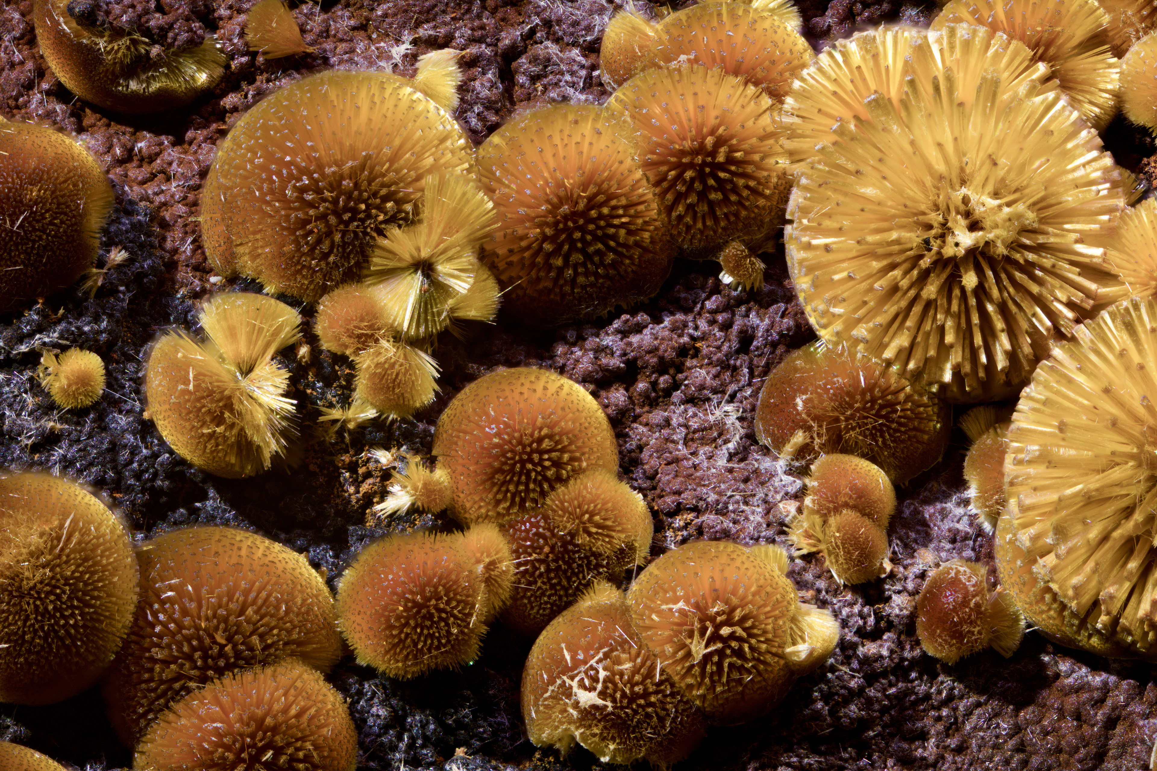 Cacoxenite - Arkansas