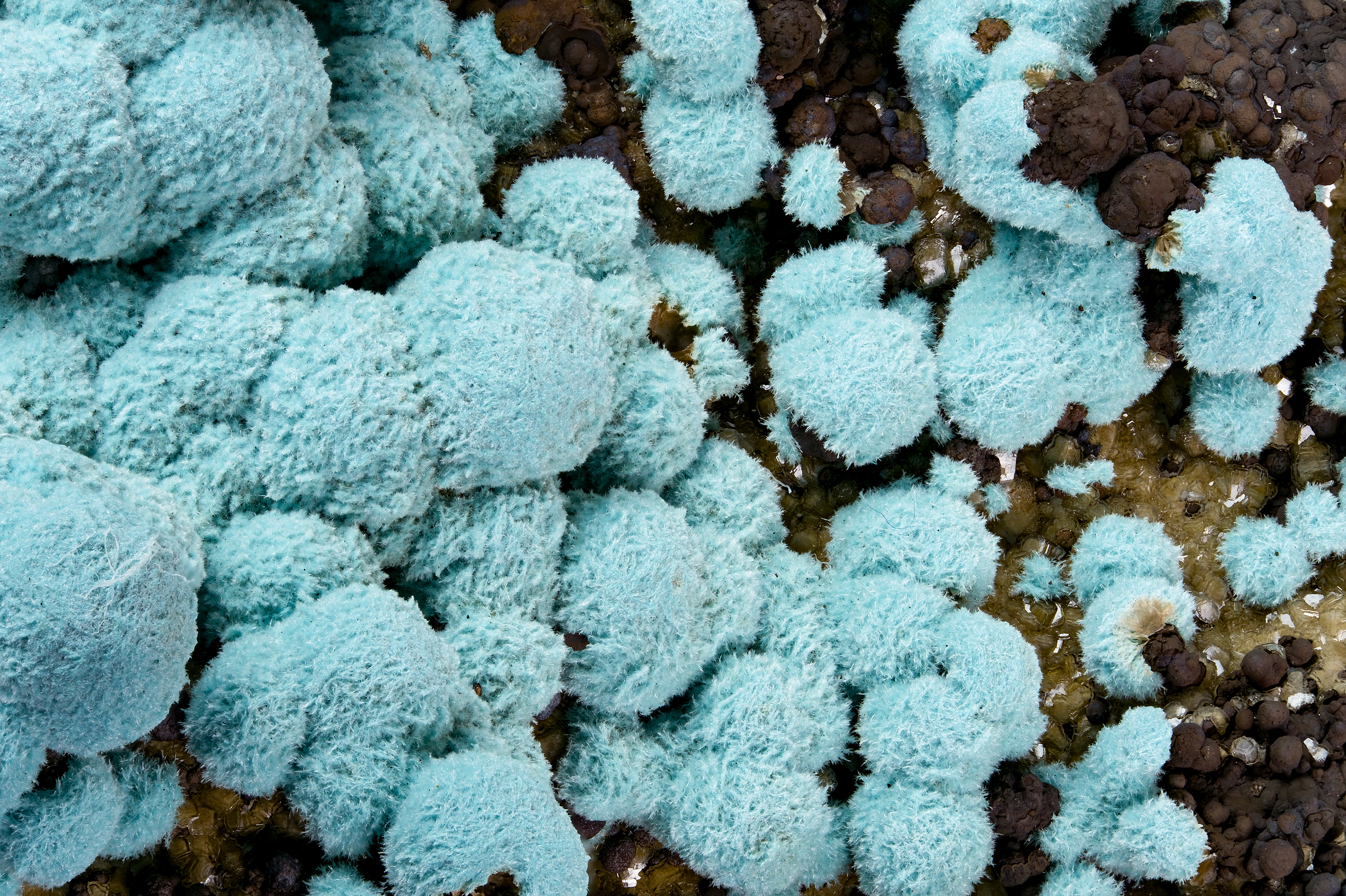 Rosasite - Ojuela Mine, Mexico
