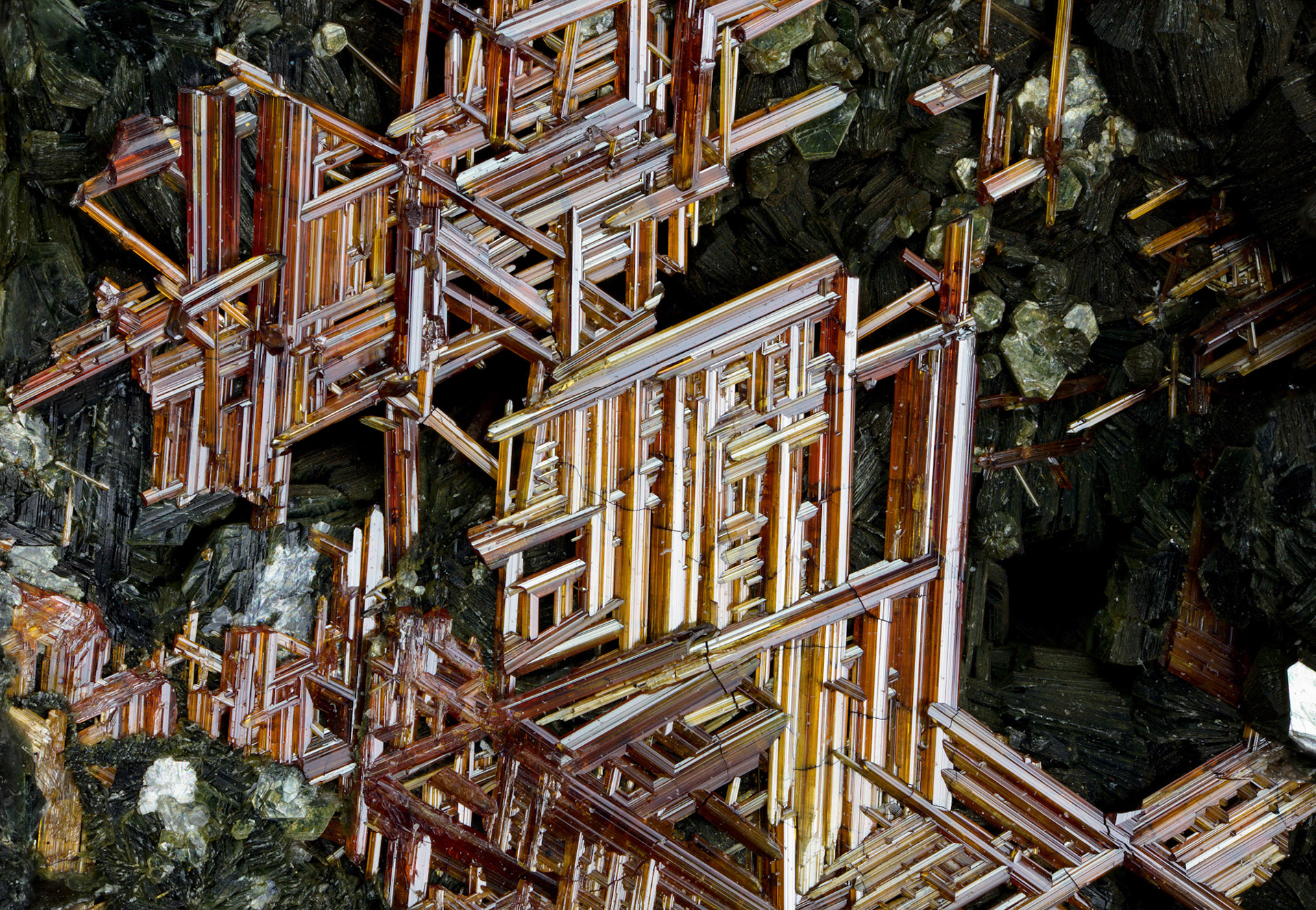 Rutile, Clinochlore: Plattenkogel, Austria; Alex Venzke Collection