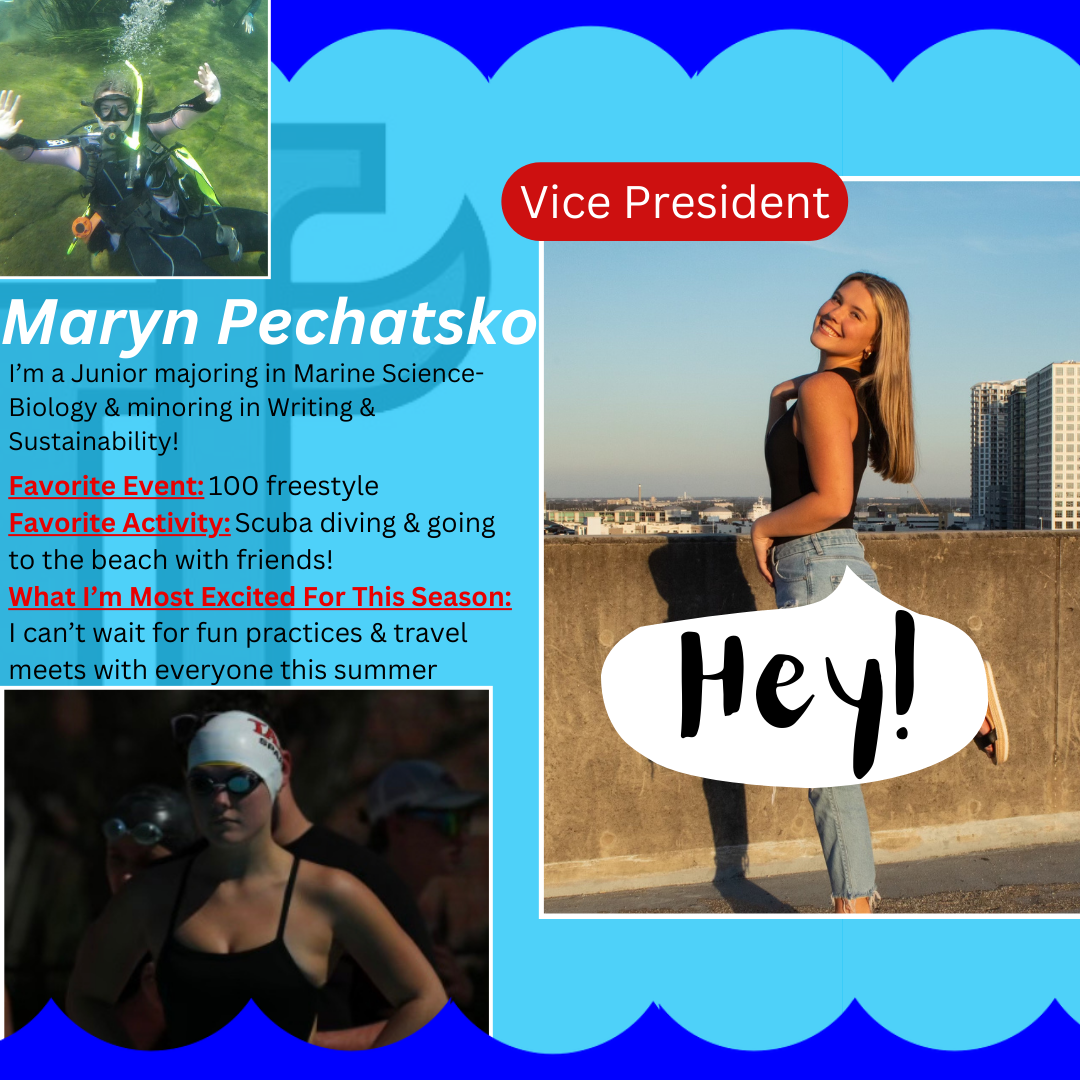Vice President Graphic