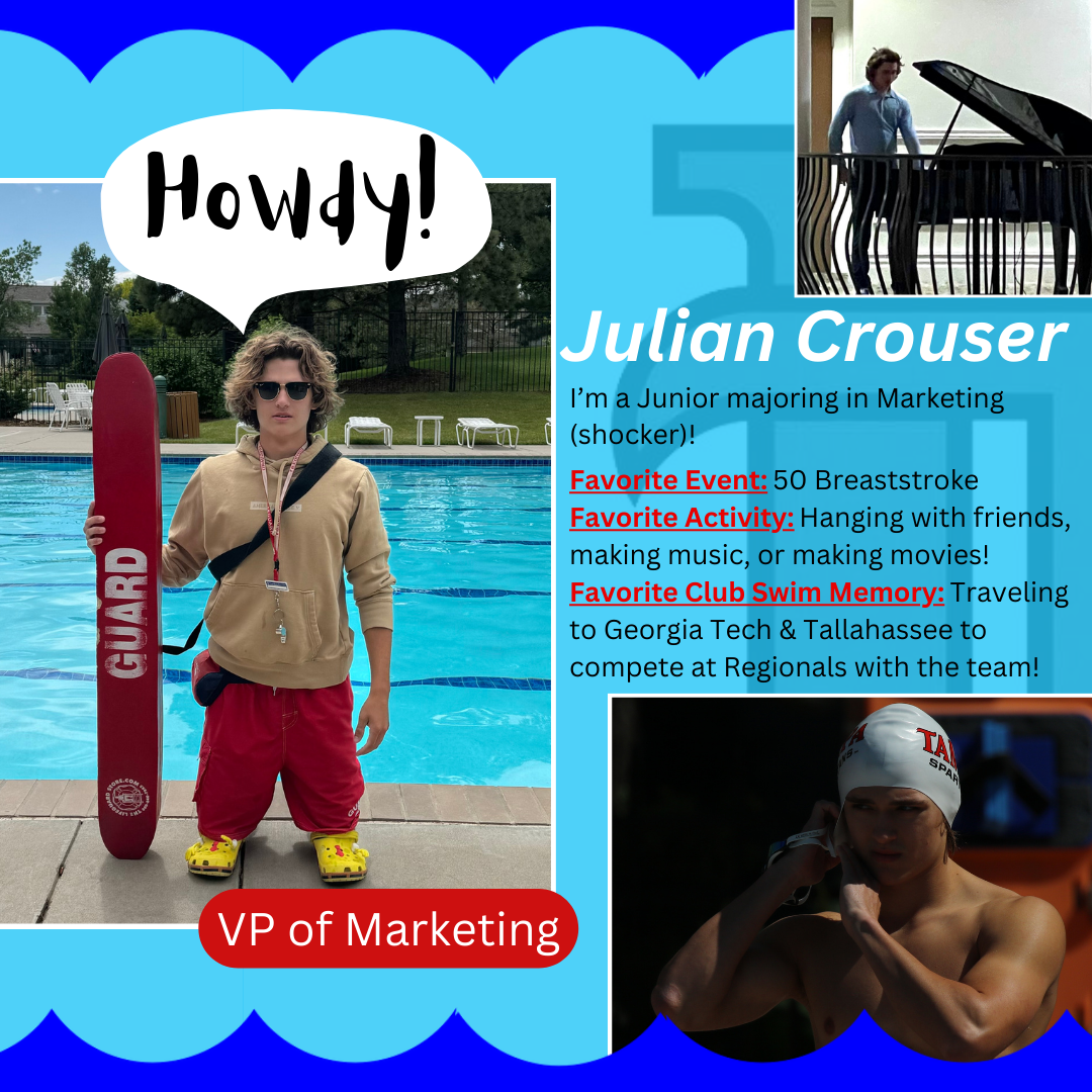 VP of Marketing Graphic