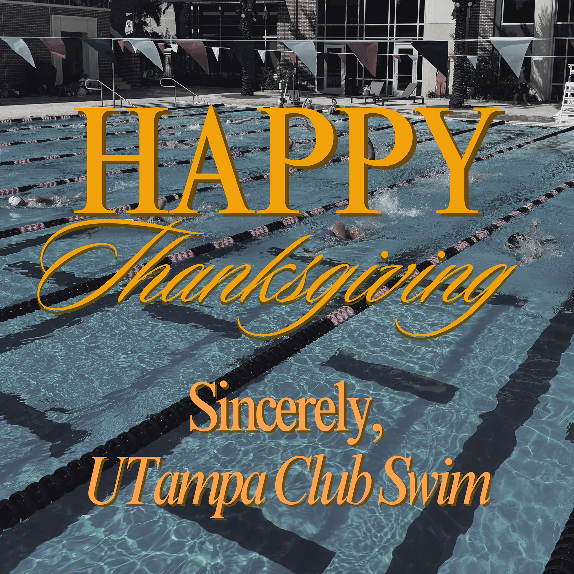 Thanksgiving Post (Meta Platforms)