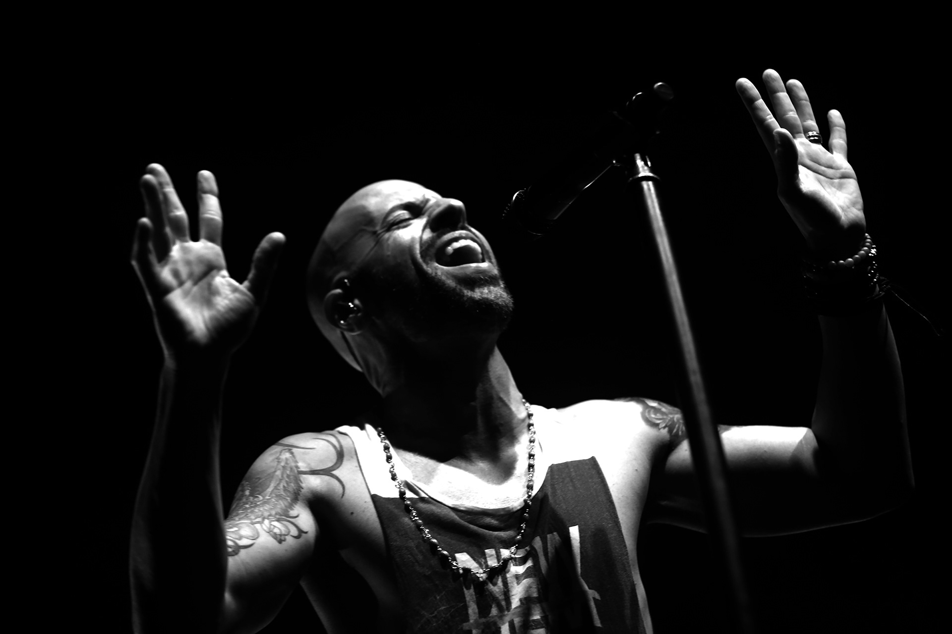 Chris Daughtry