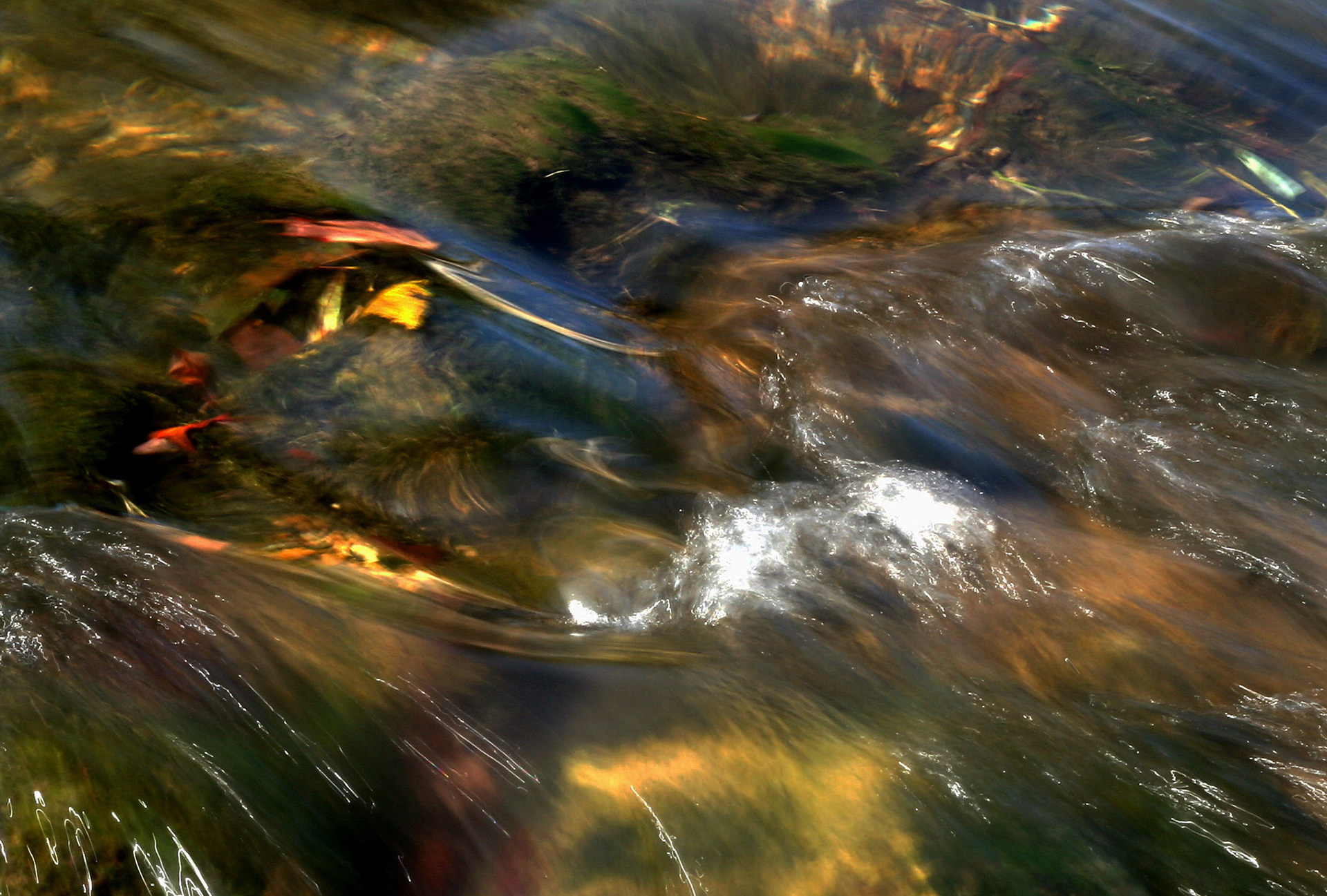 Fall Waters_001
