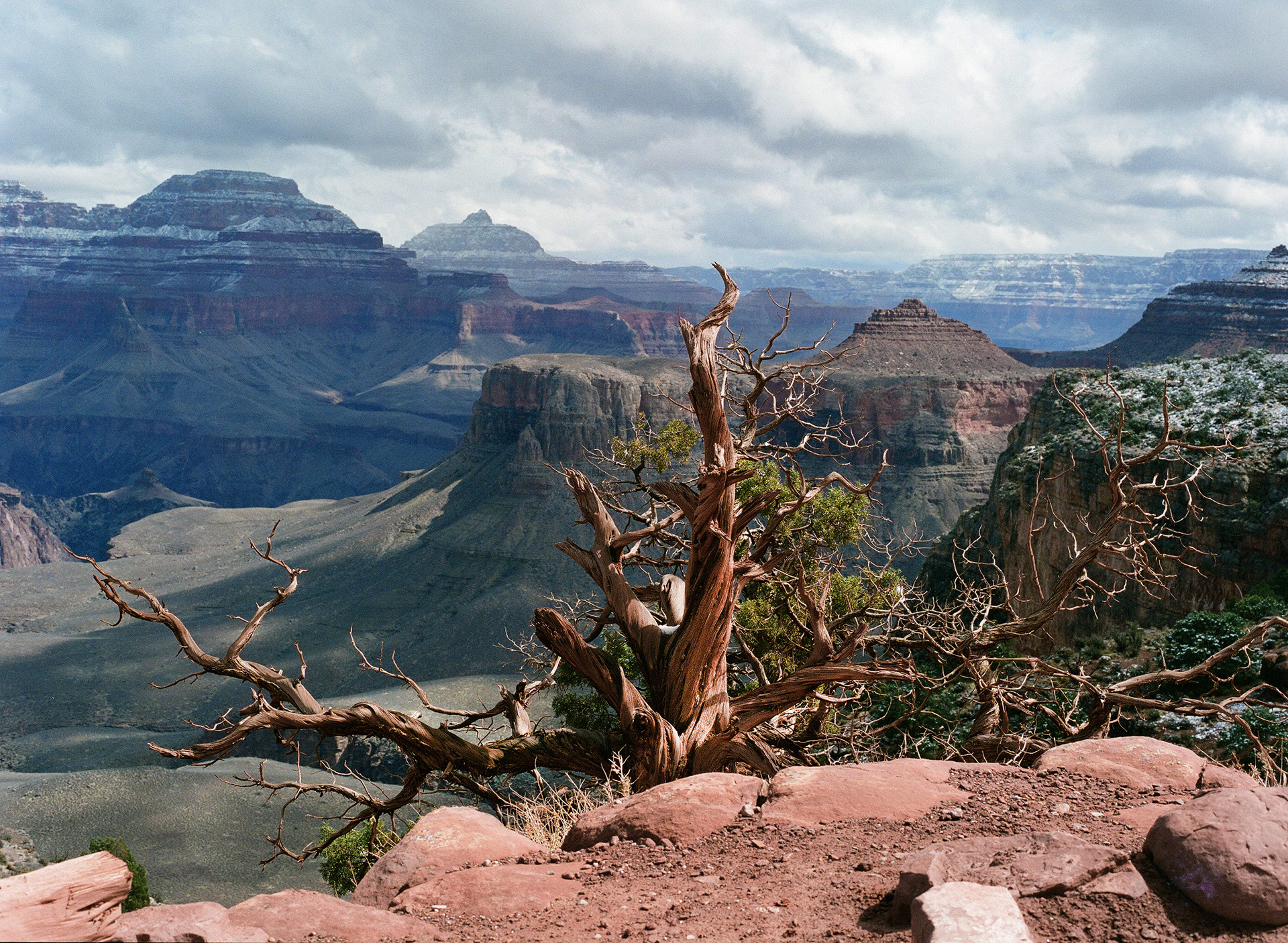 South Rim