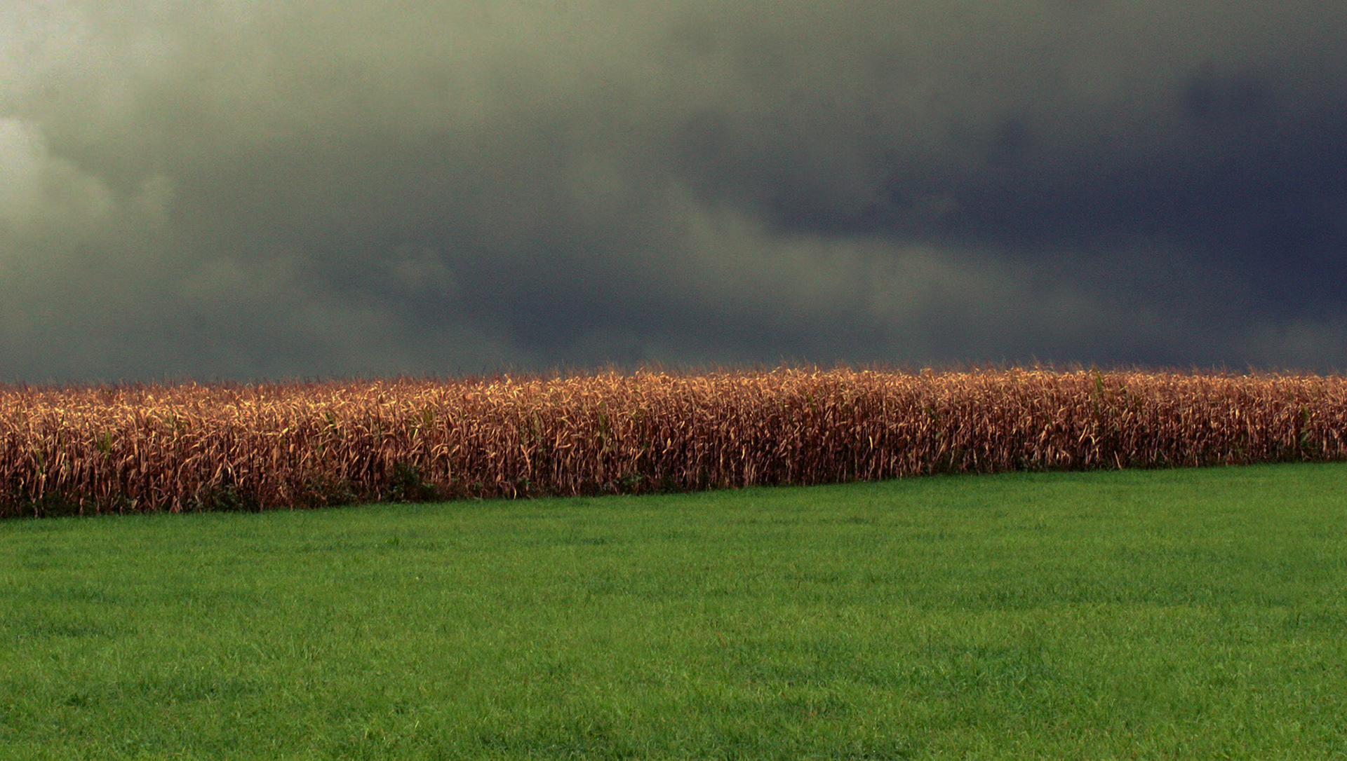 Storms Coming