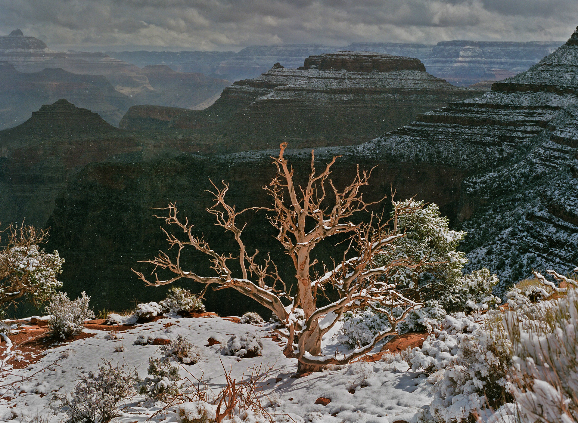 March. South Rim