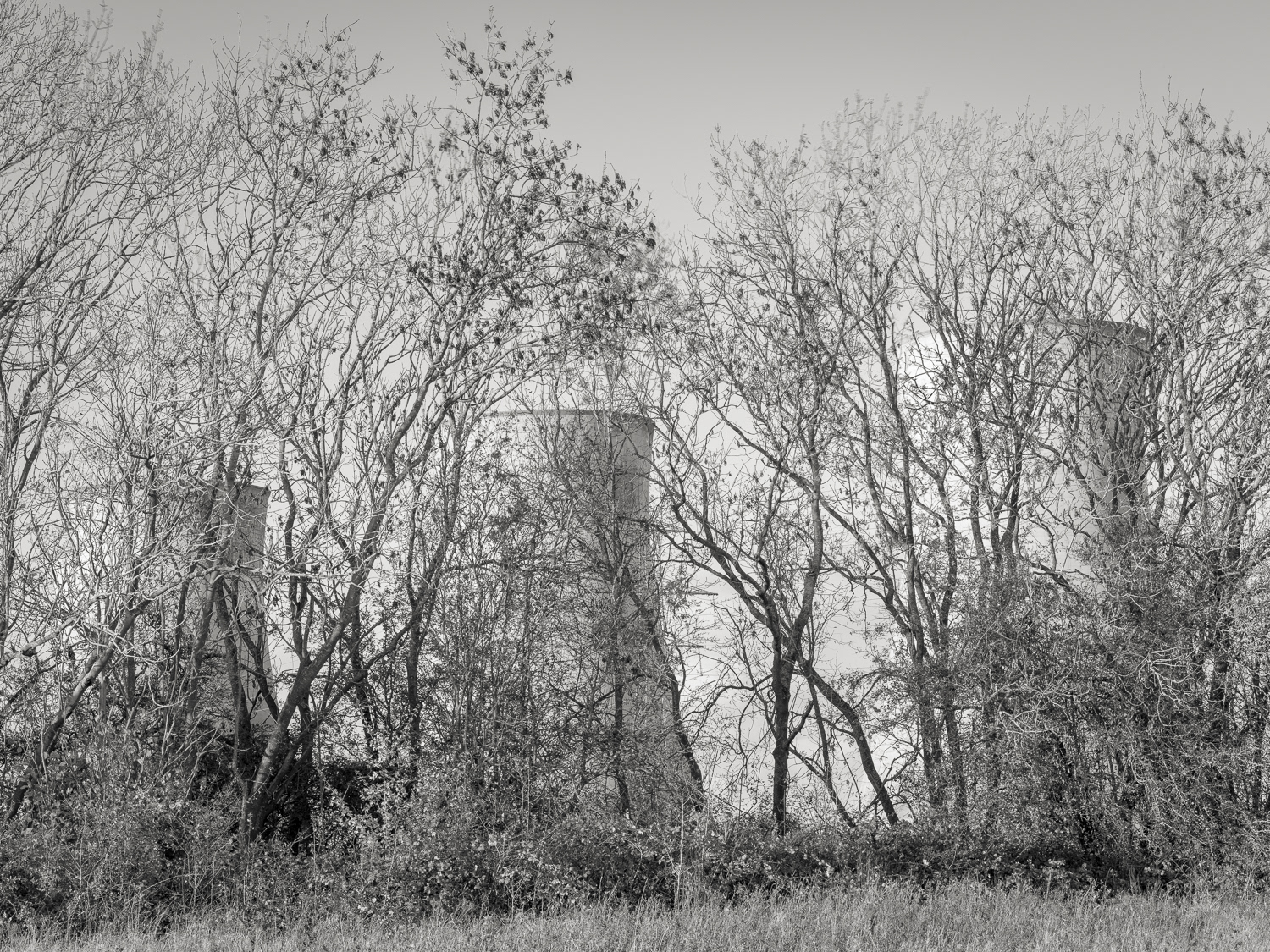 Hidden (1)