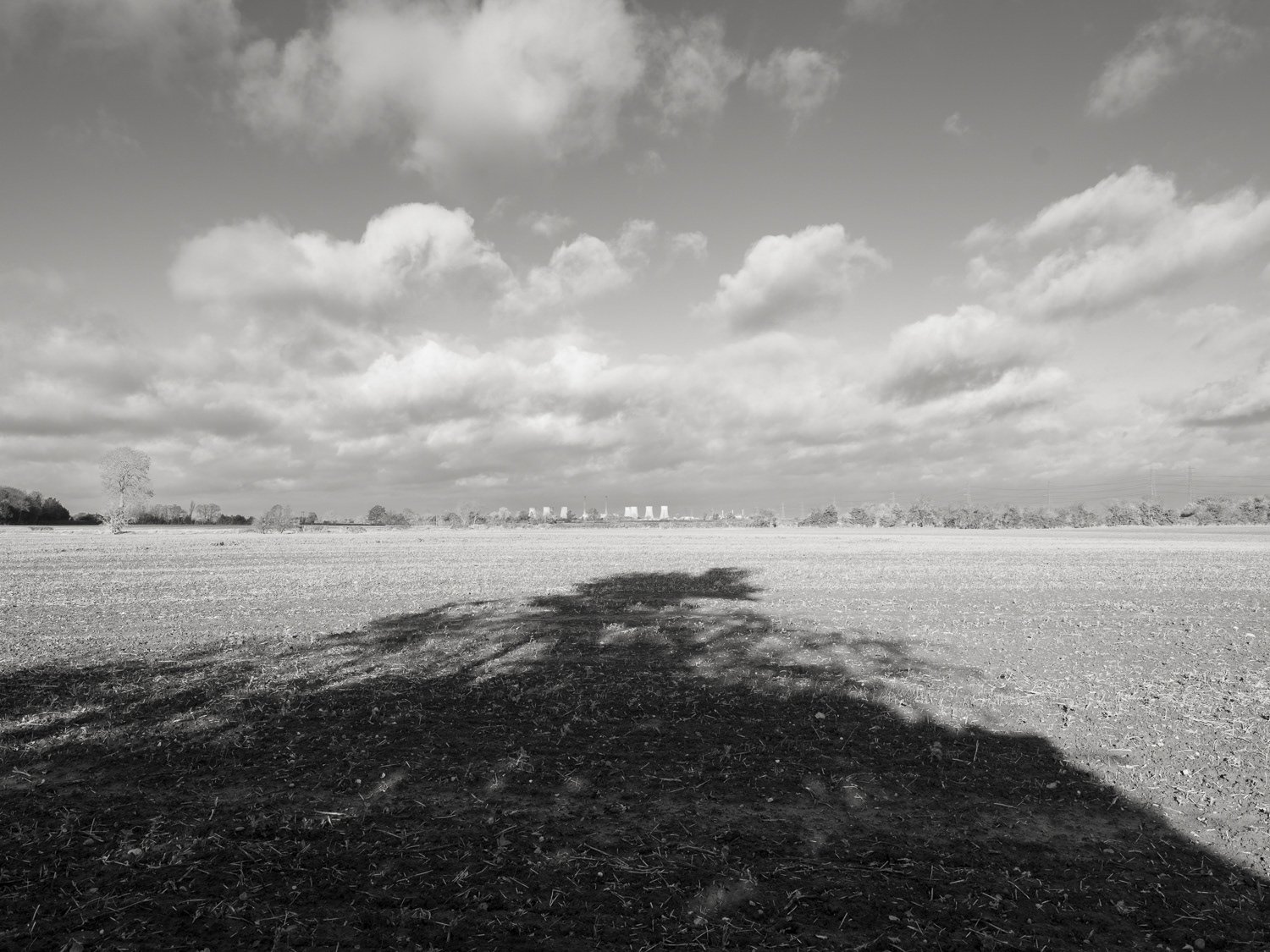 West Burton from Cottam