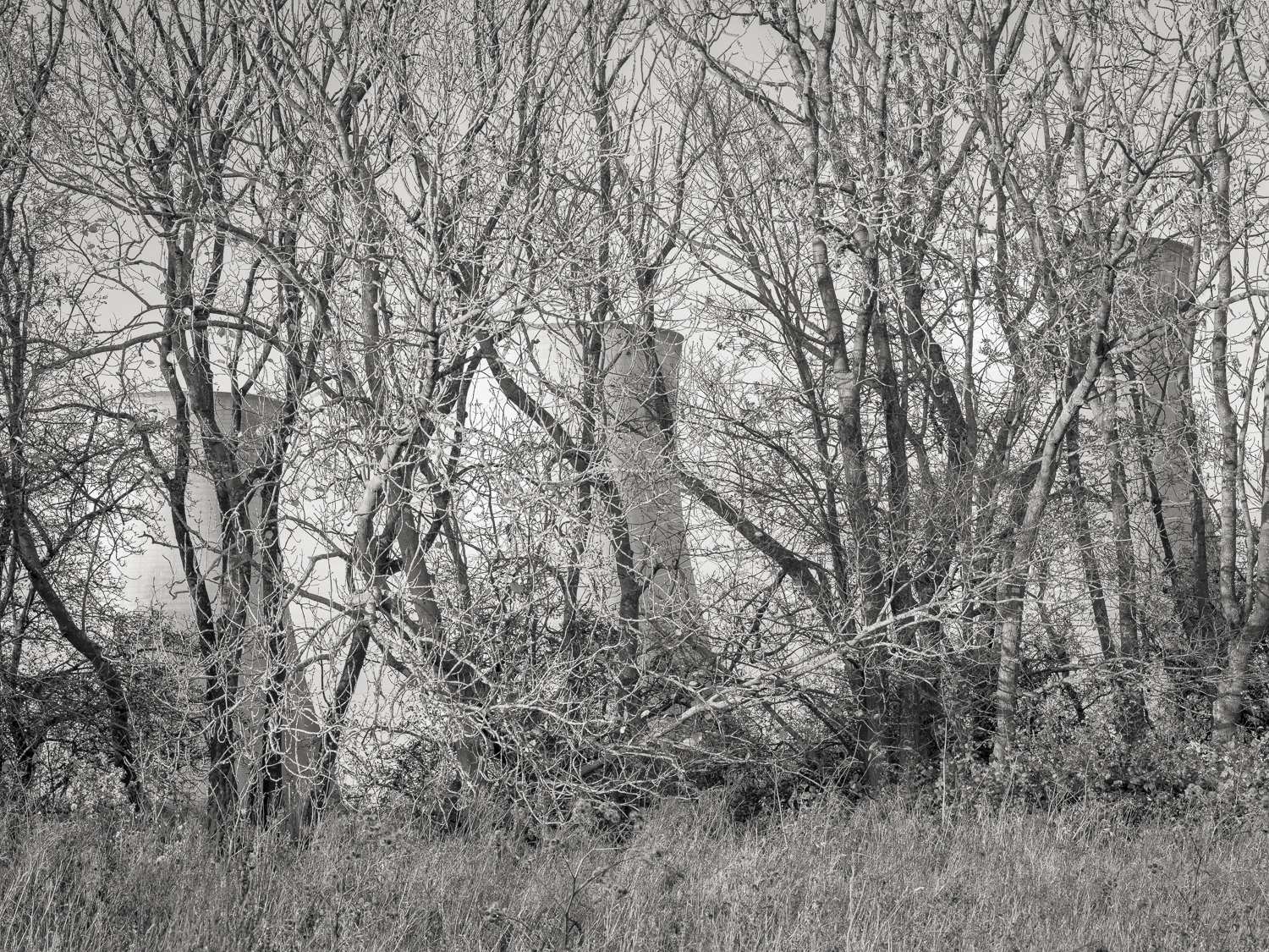 Hidden (3)