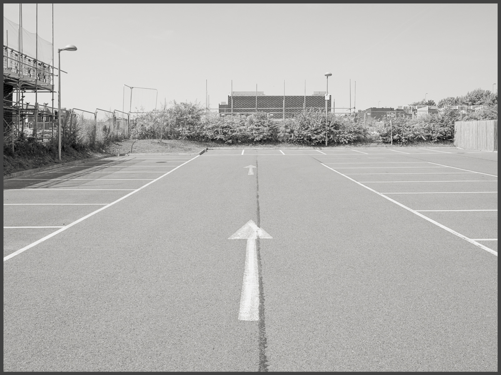 Line (iii)