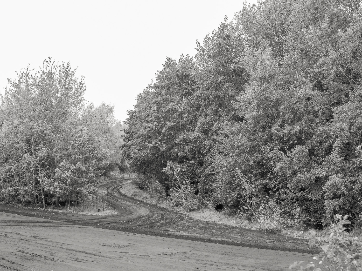 The Dirt Road - Bole Ings