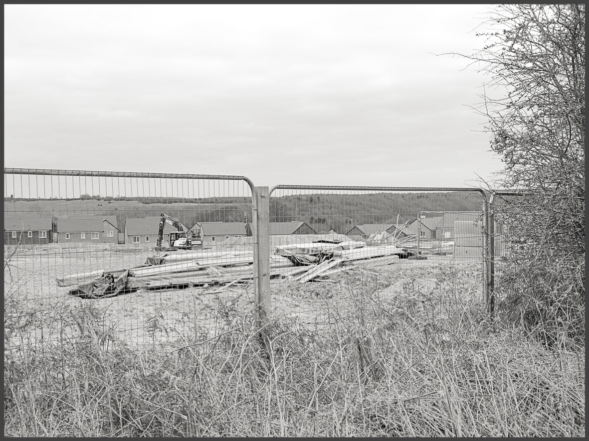 From the Path (ii)