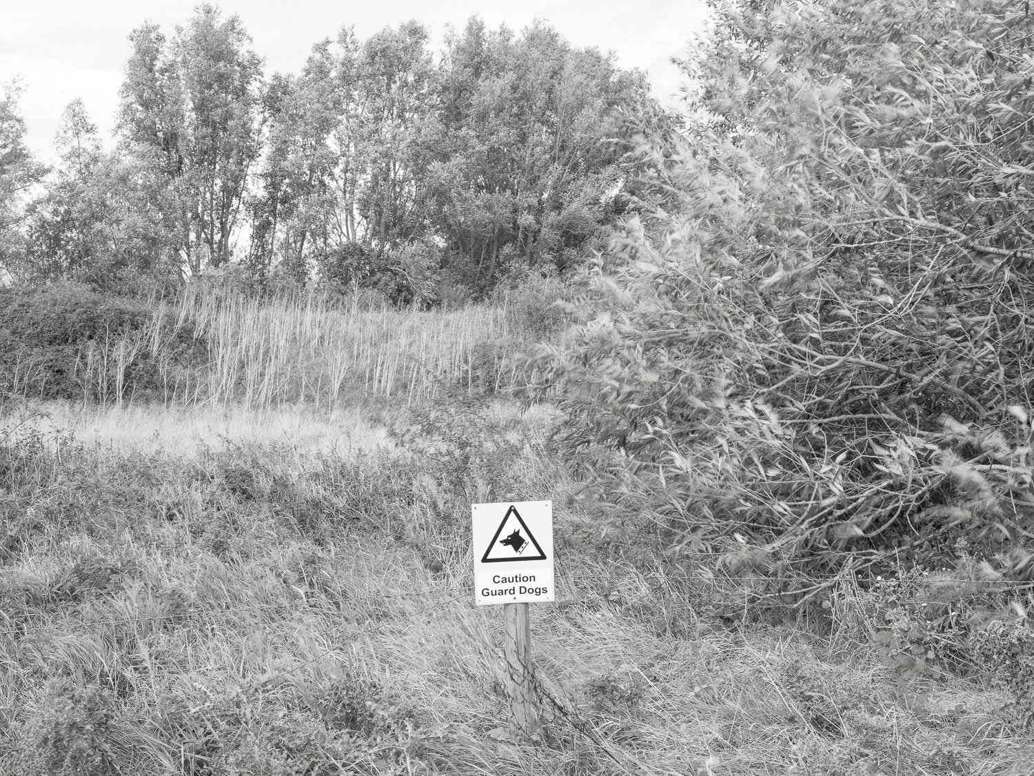 No entry