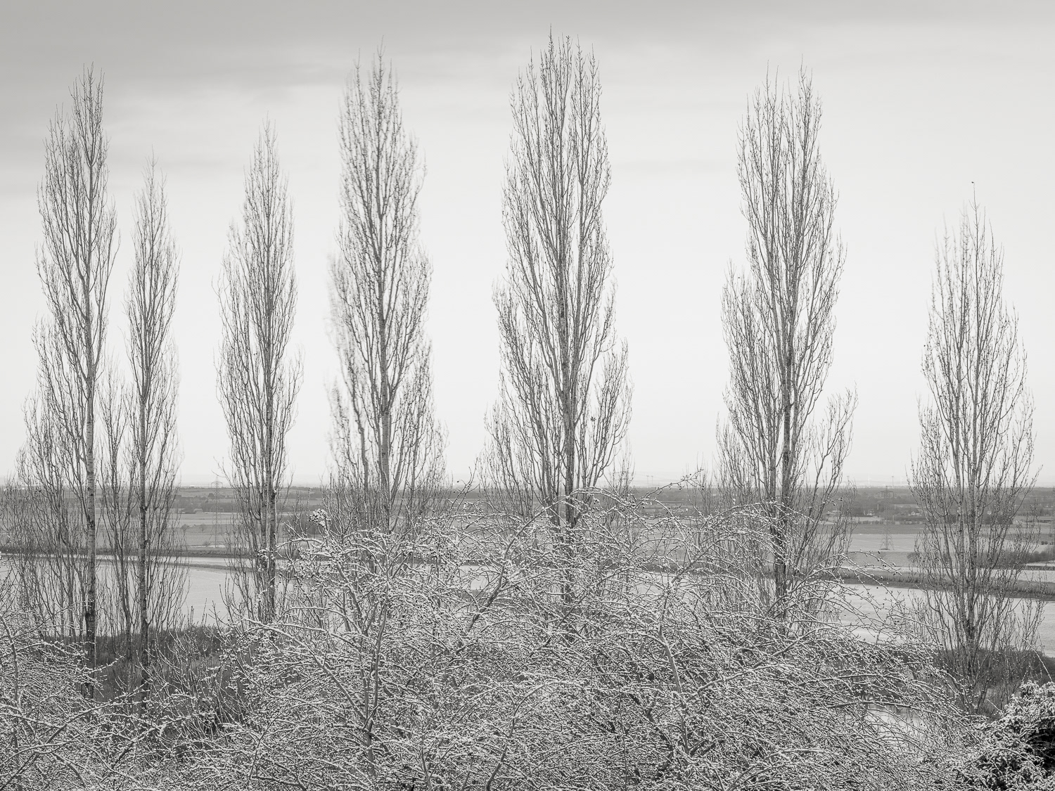 Burton Stather