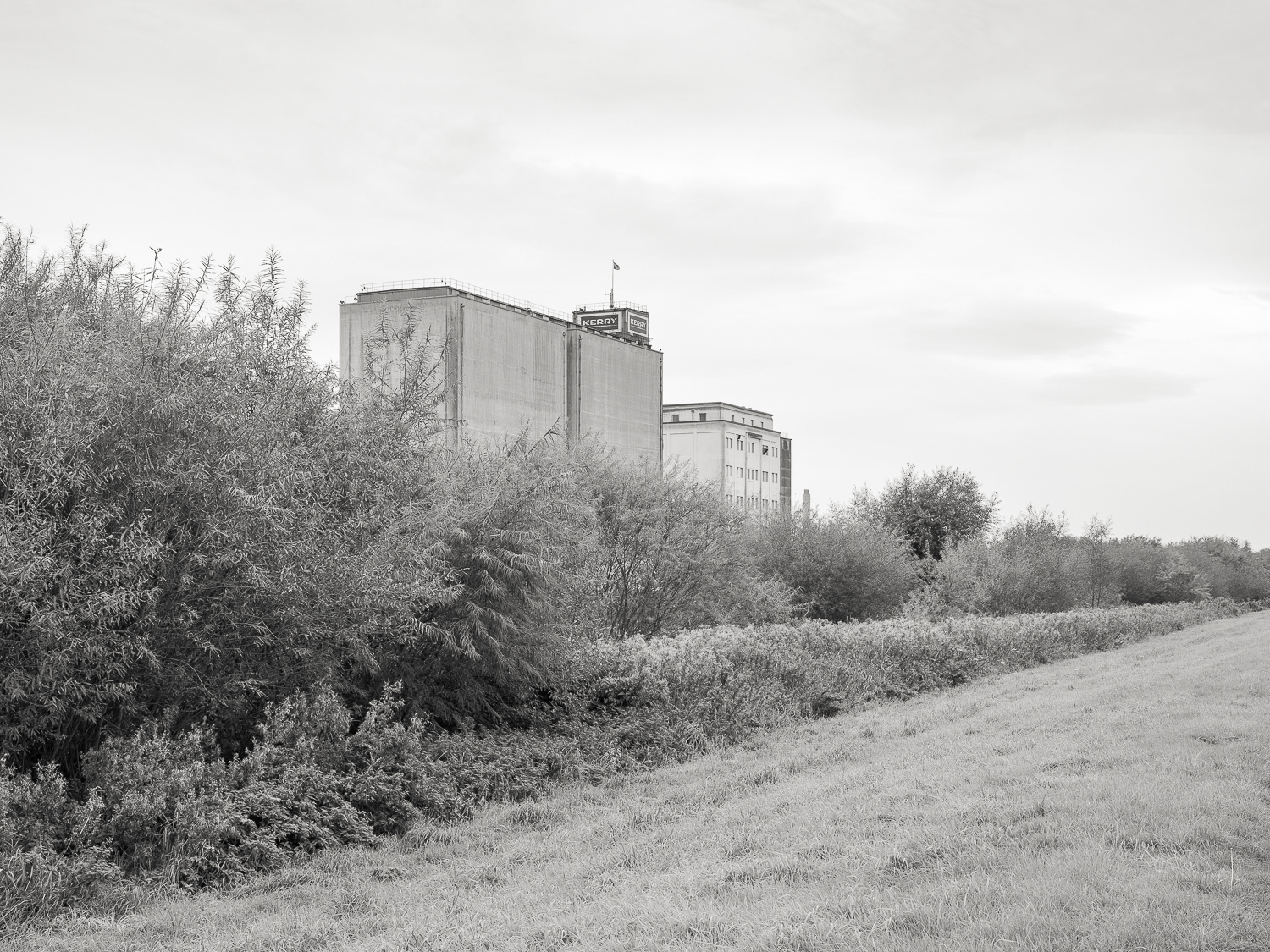 Kerry Flour Mill