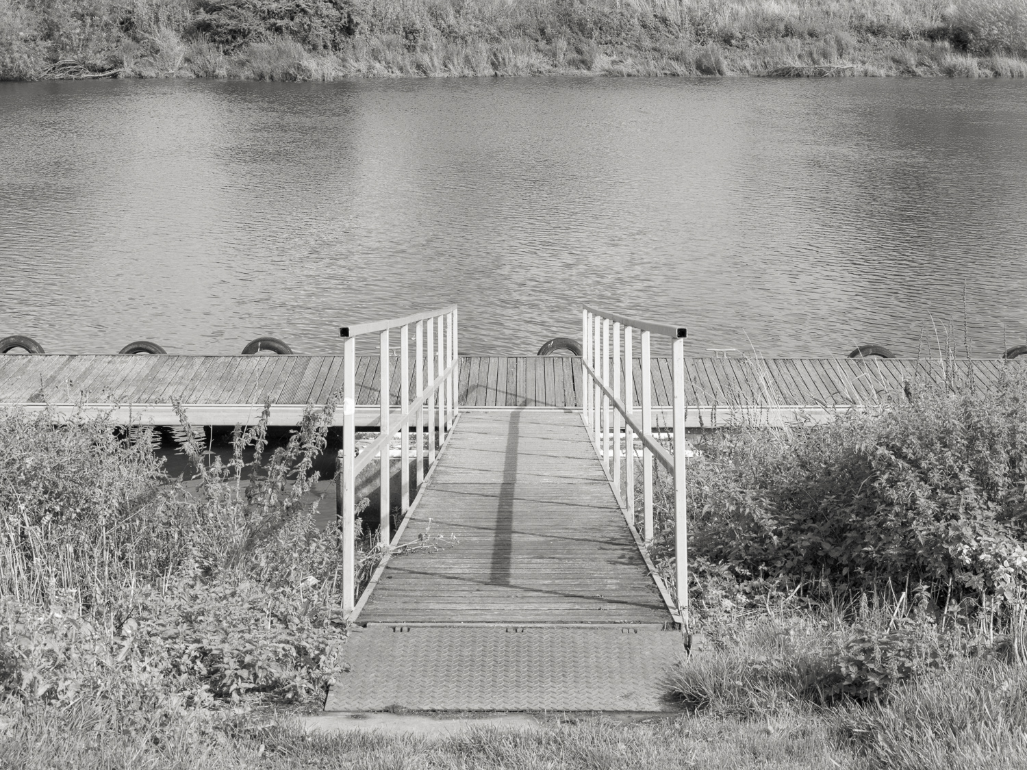 Pontoon
