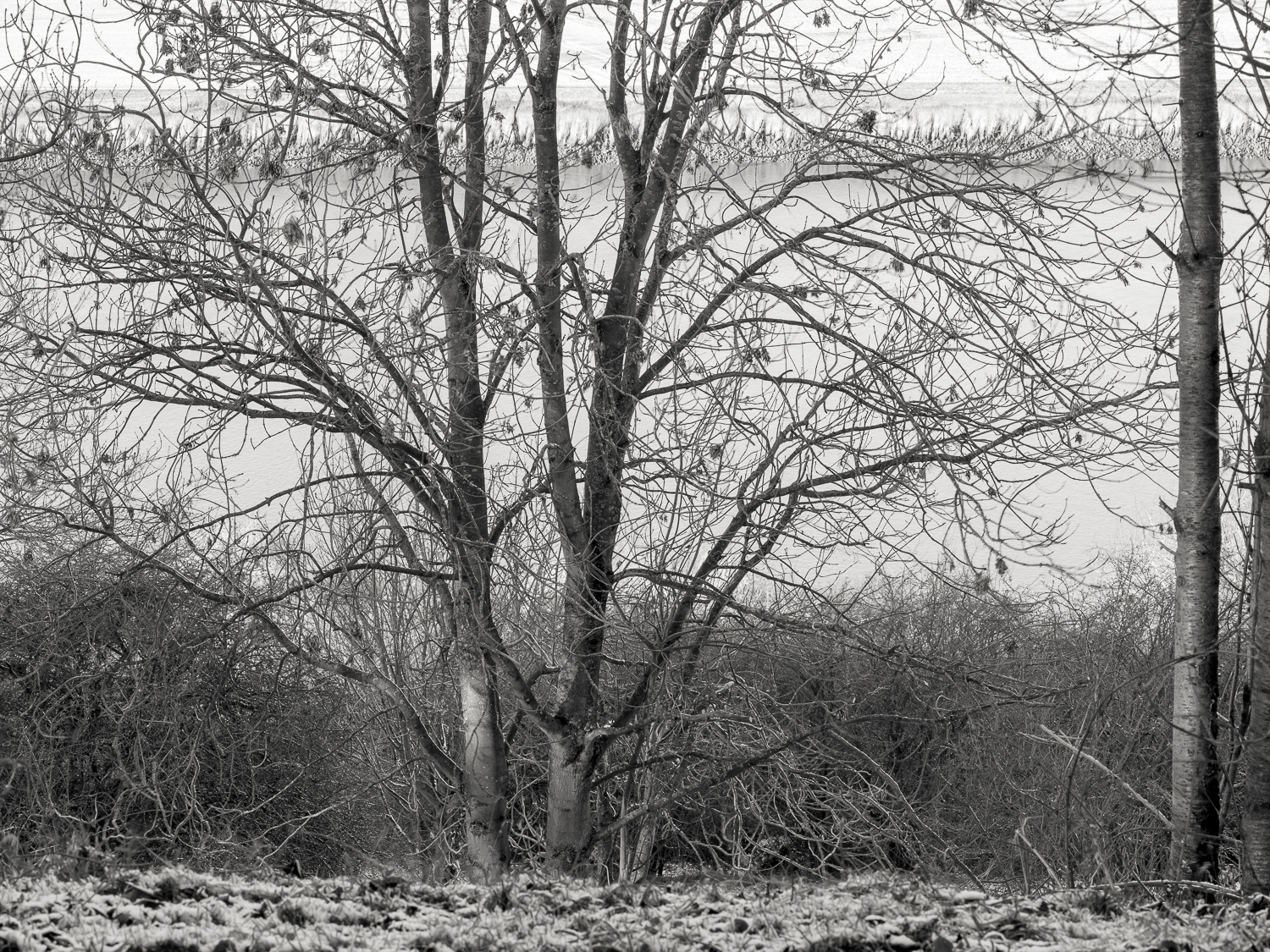 Burton Stather towards the River