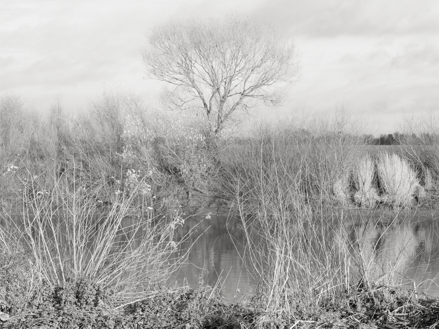 Near Morton Point