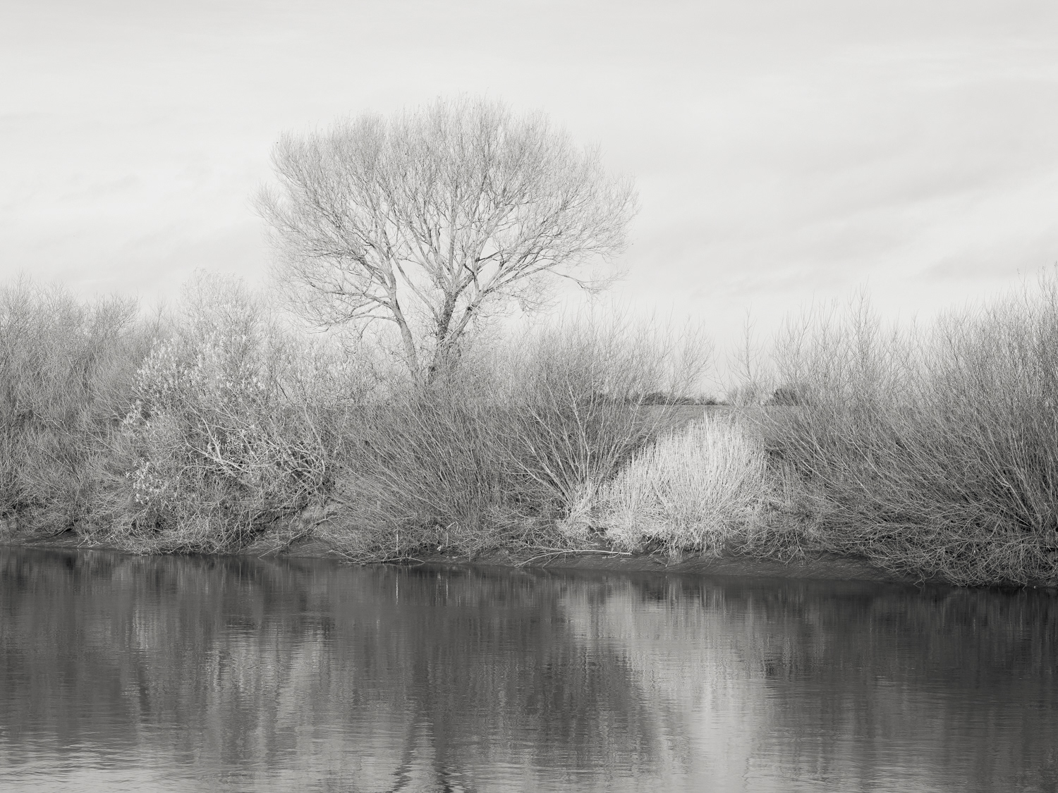 Trent - low tide