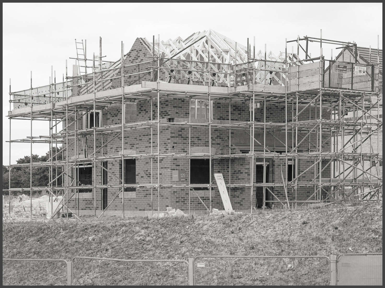 Scaffold (i)