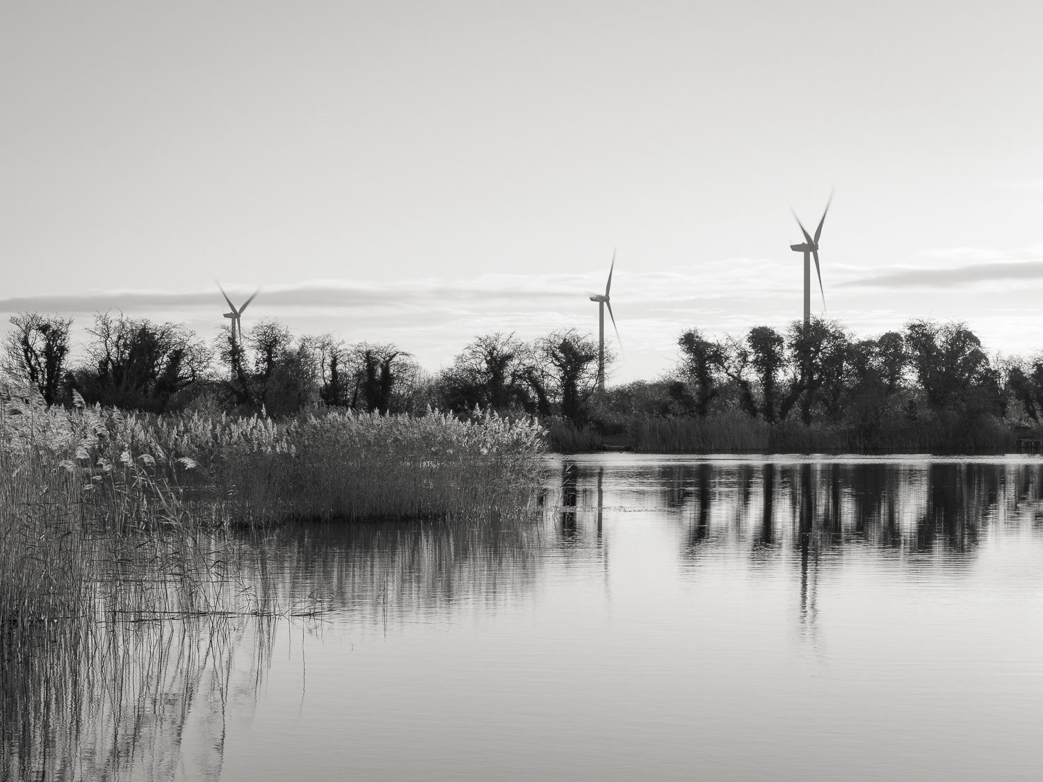 Burton Stather nature reserve