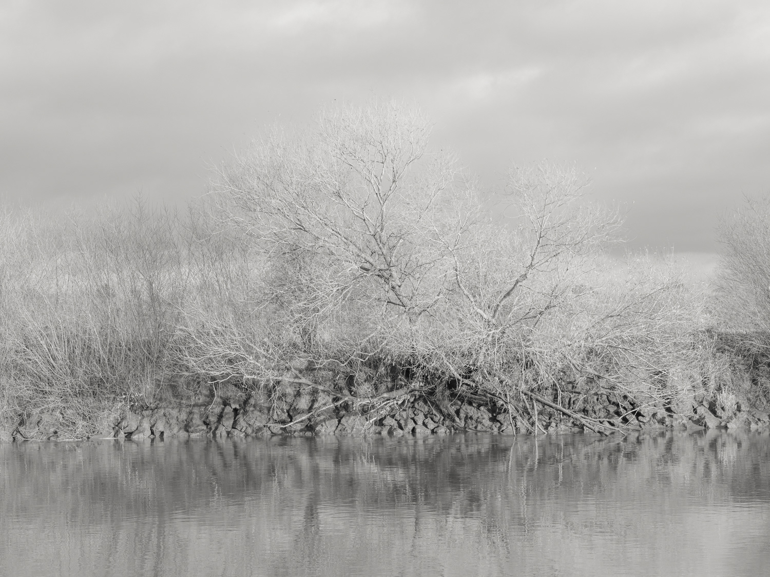 River Trent - low tide