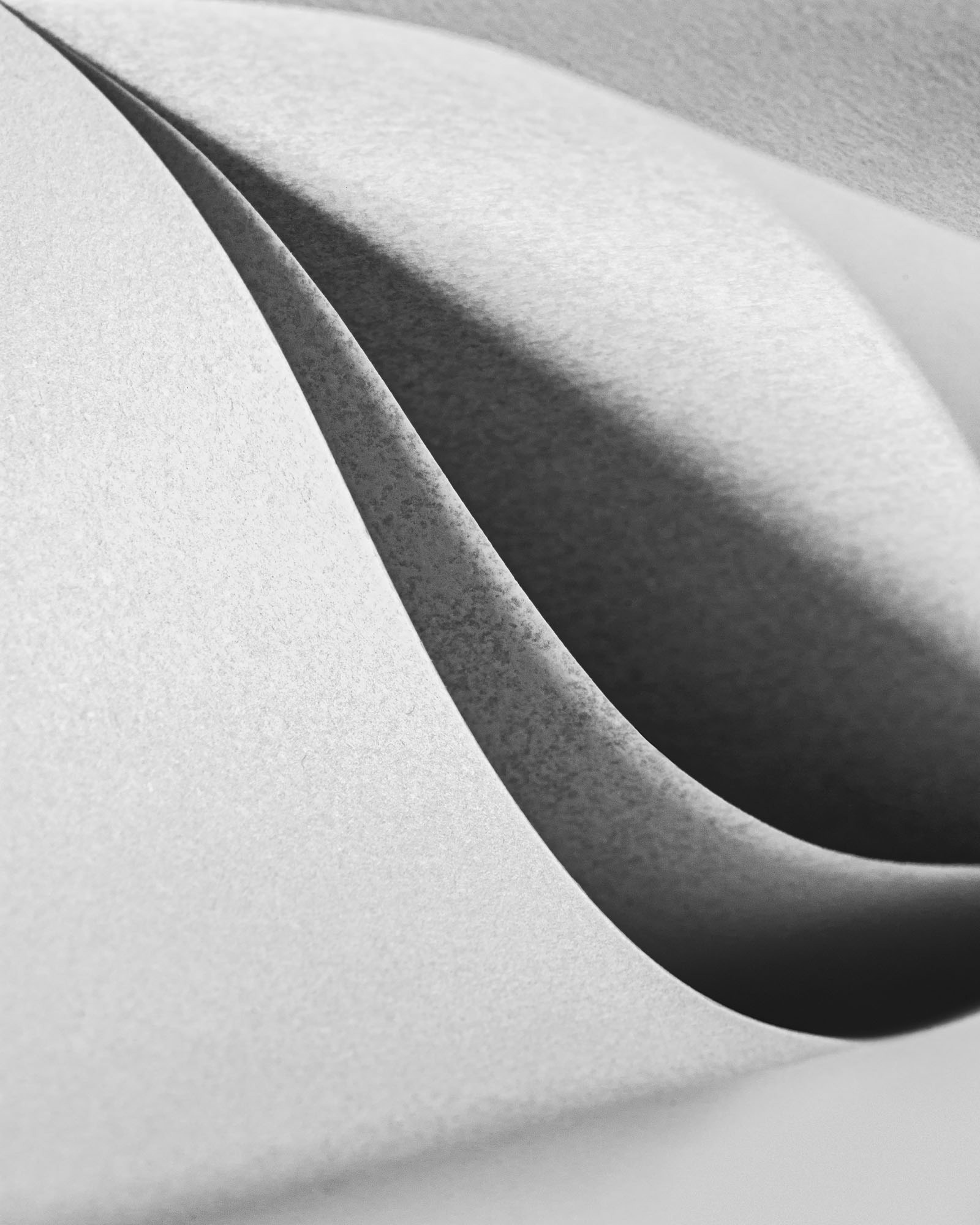 paper photographs no. 2