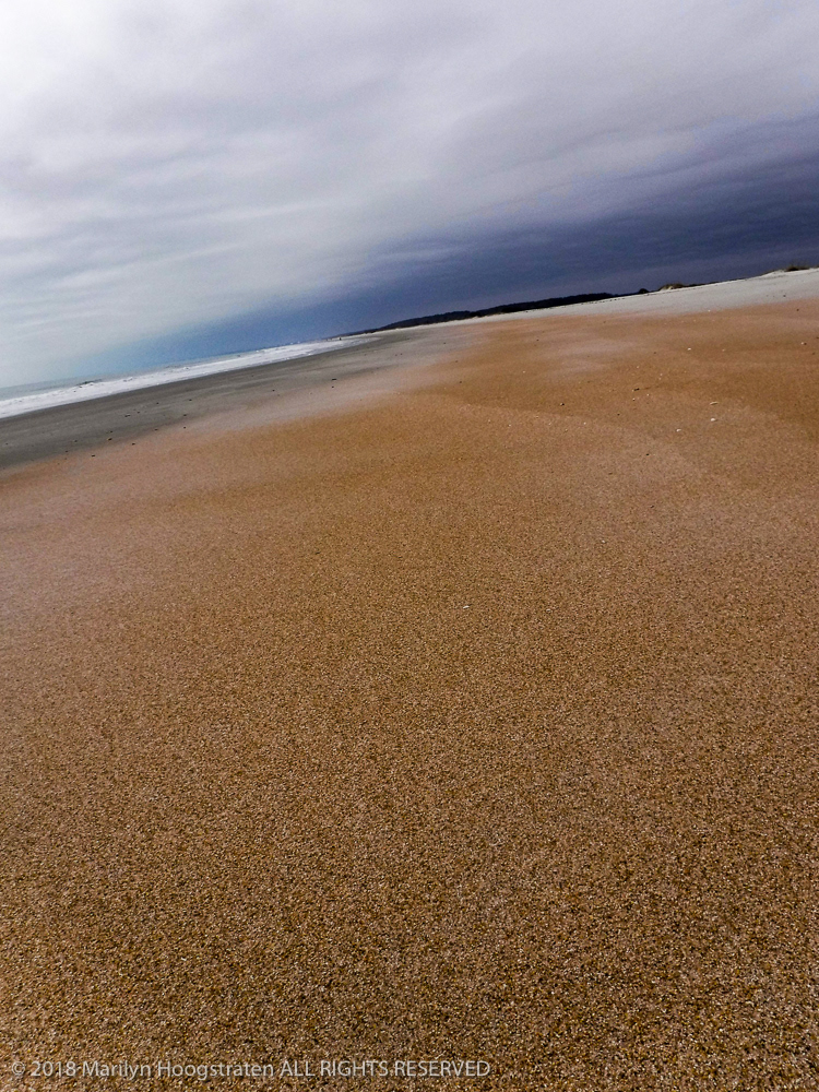 Beach, South Carolina