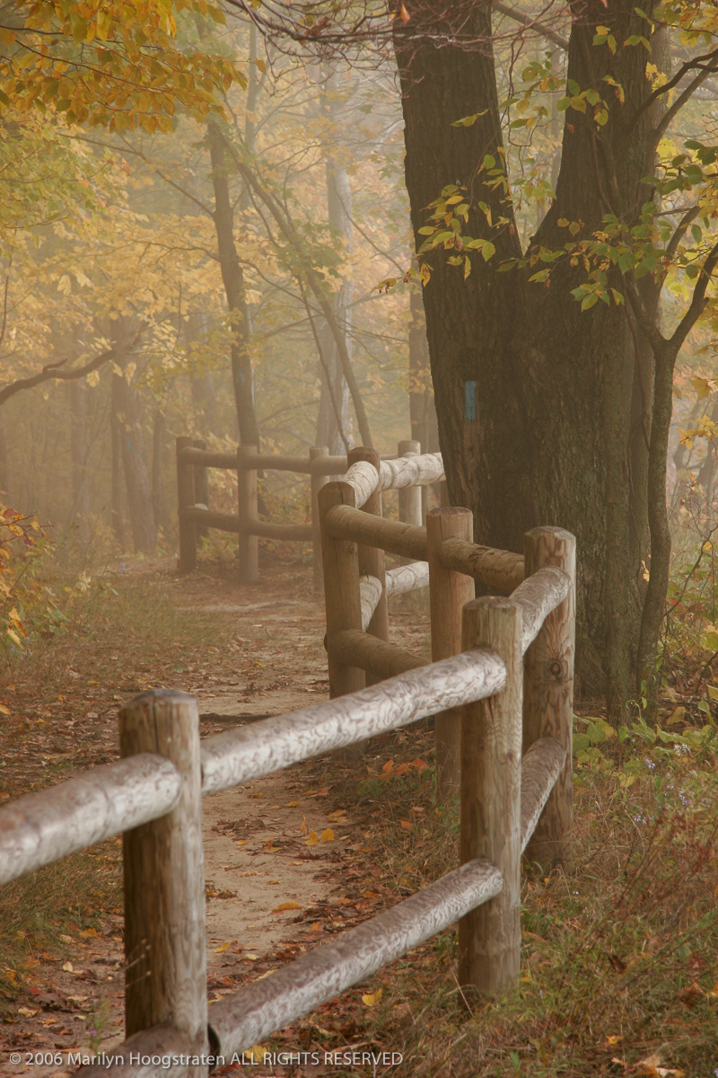 Fence Along the Trail, Northern Michigan