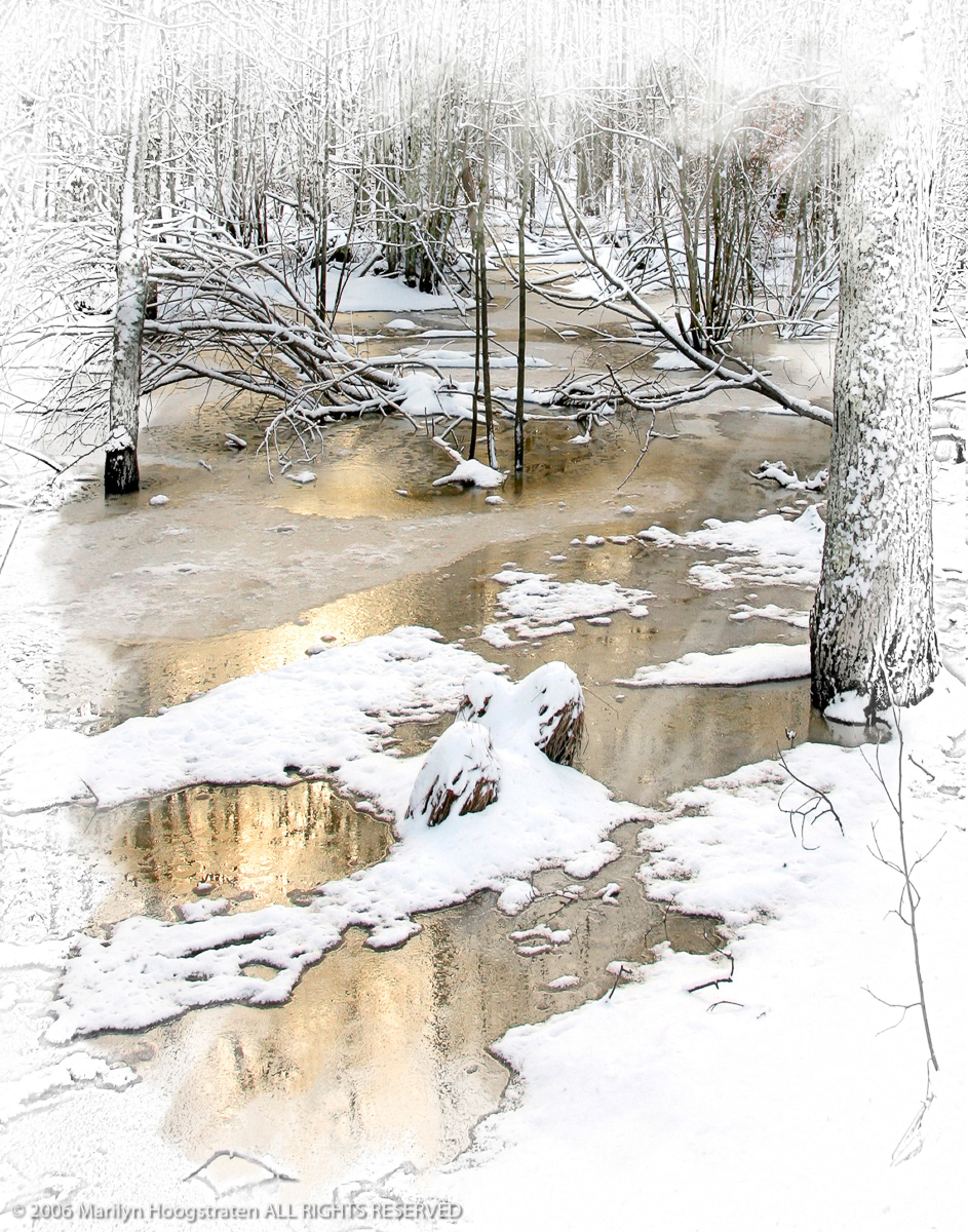 Frosty Morning, Northern Michigan