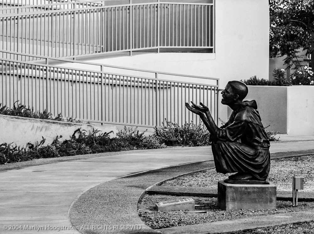 Pleading, Phoenix AZ