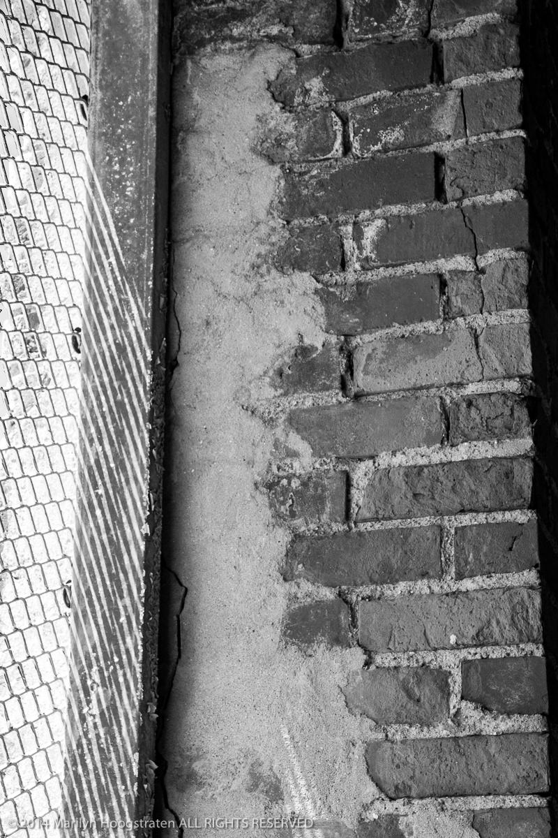 Cornered, Detroit, MI
