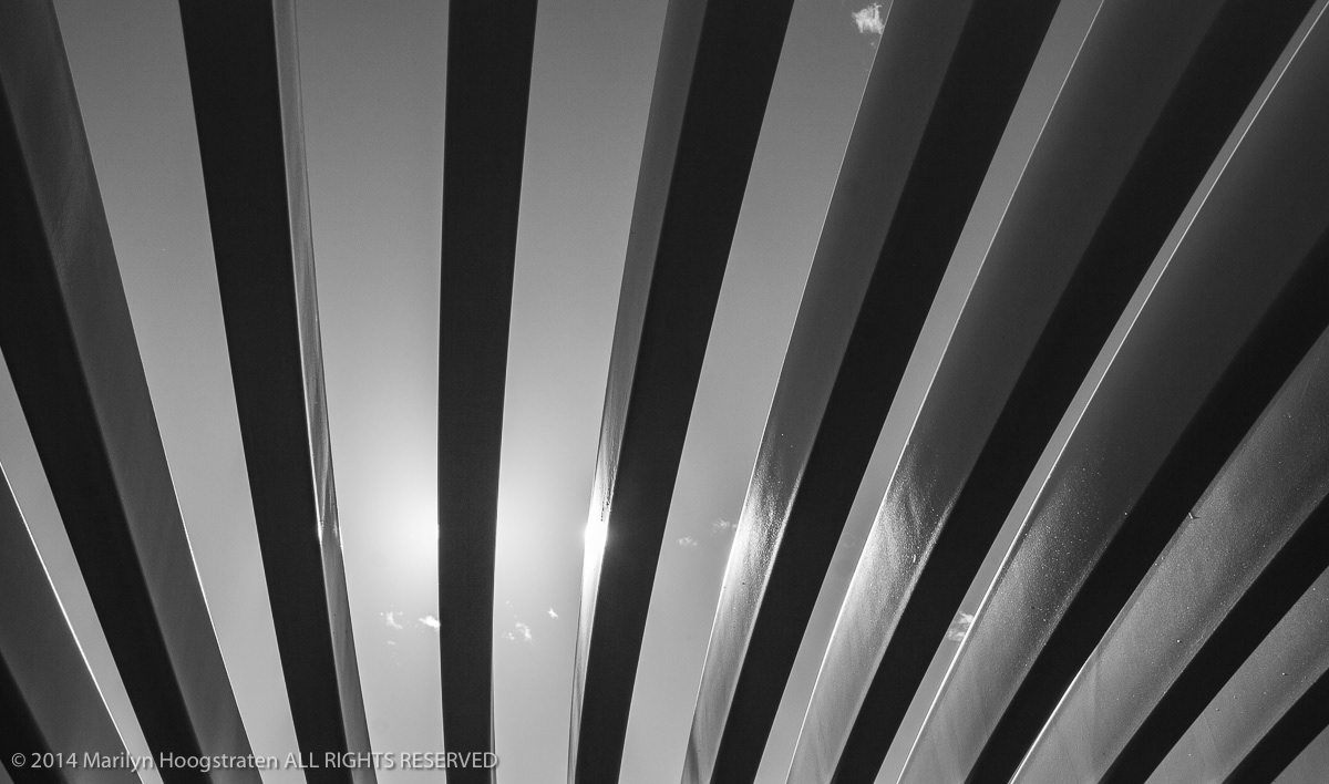 Shelter