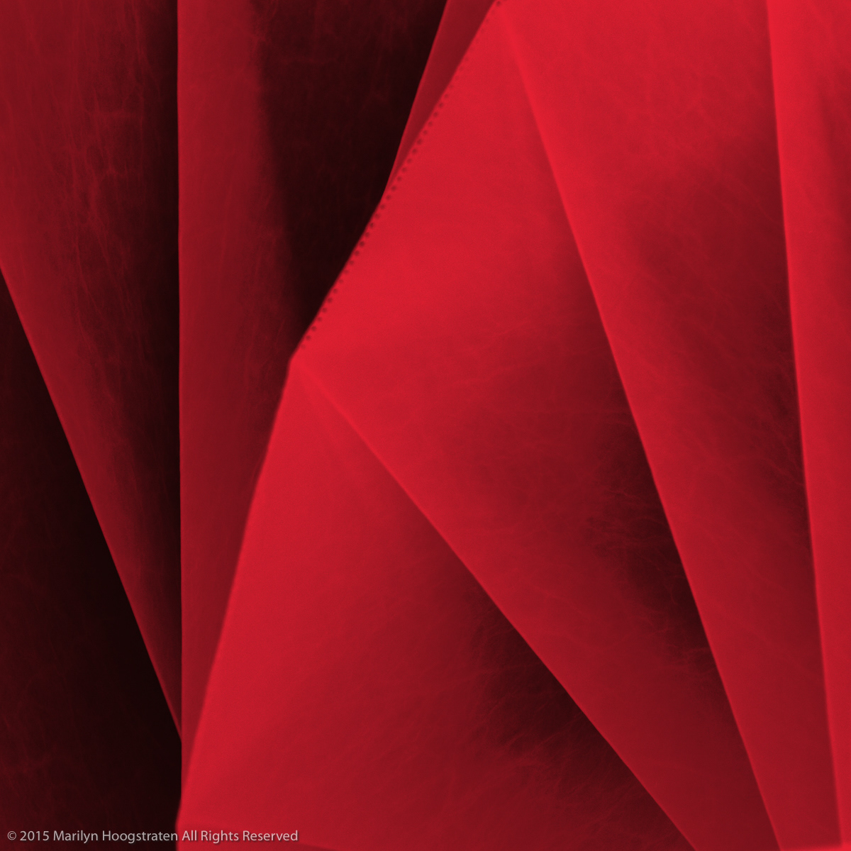Primary Red
