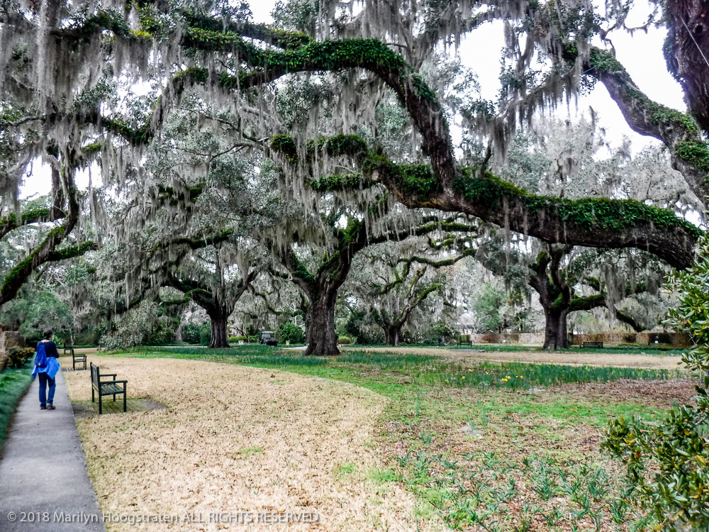 Gardens, South Carolina