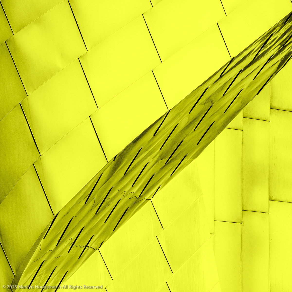 Primary Yellow