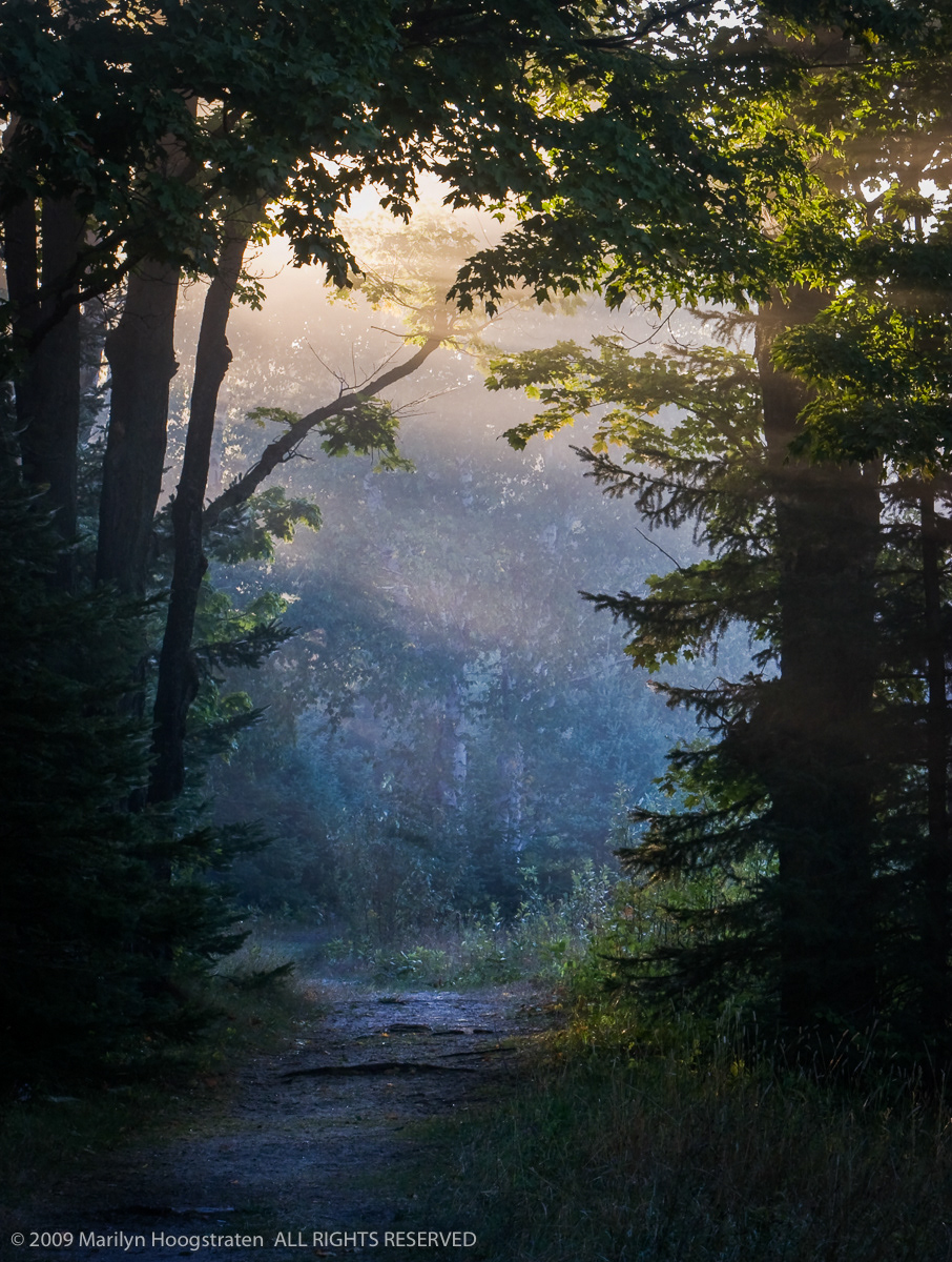 Wilderness Trail, Wilderness State Park, Northern Michigan