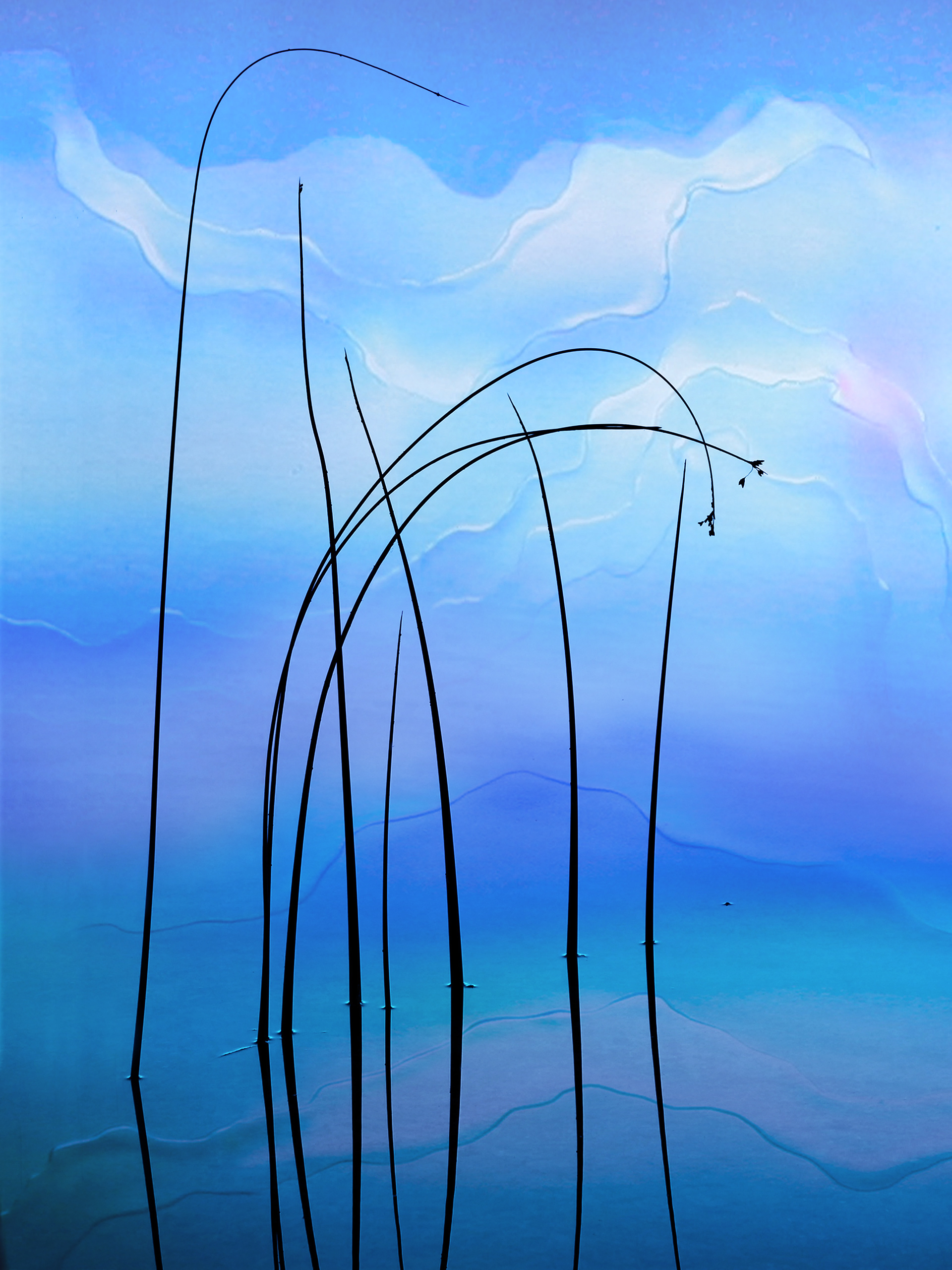 Ripples Reflections