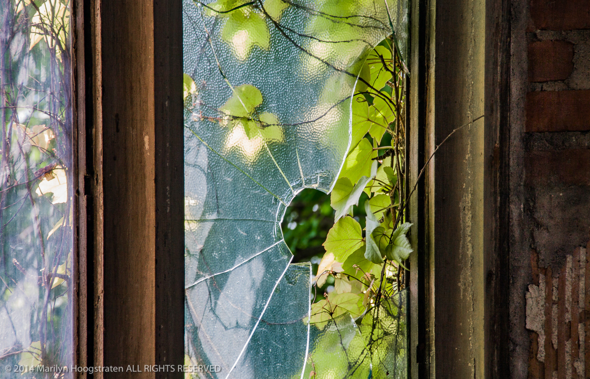 School Window, Detroit, MI