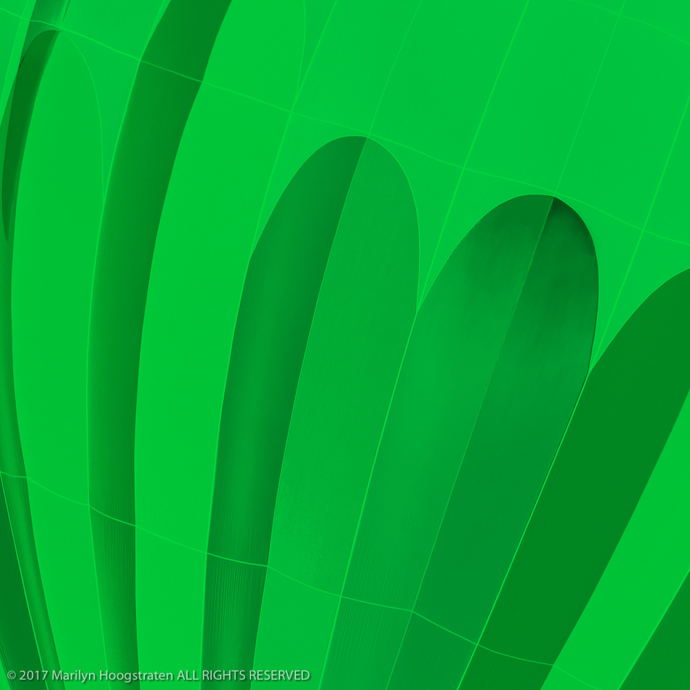 Primary Green