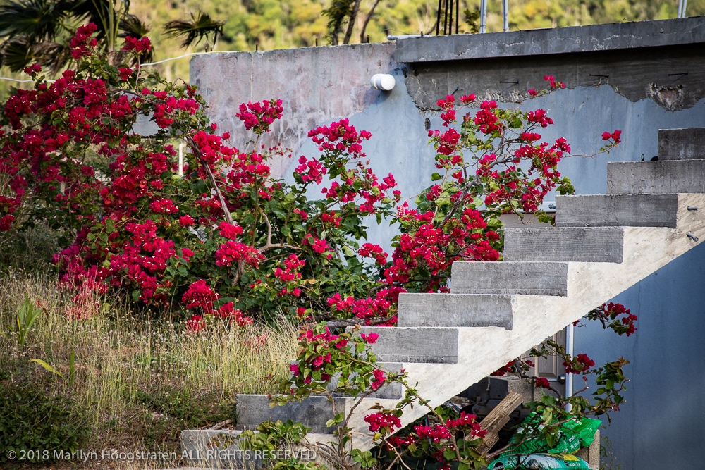 Time to Rebuild, USVI