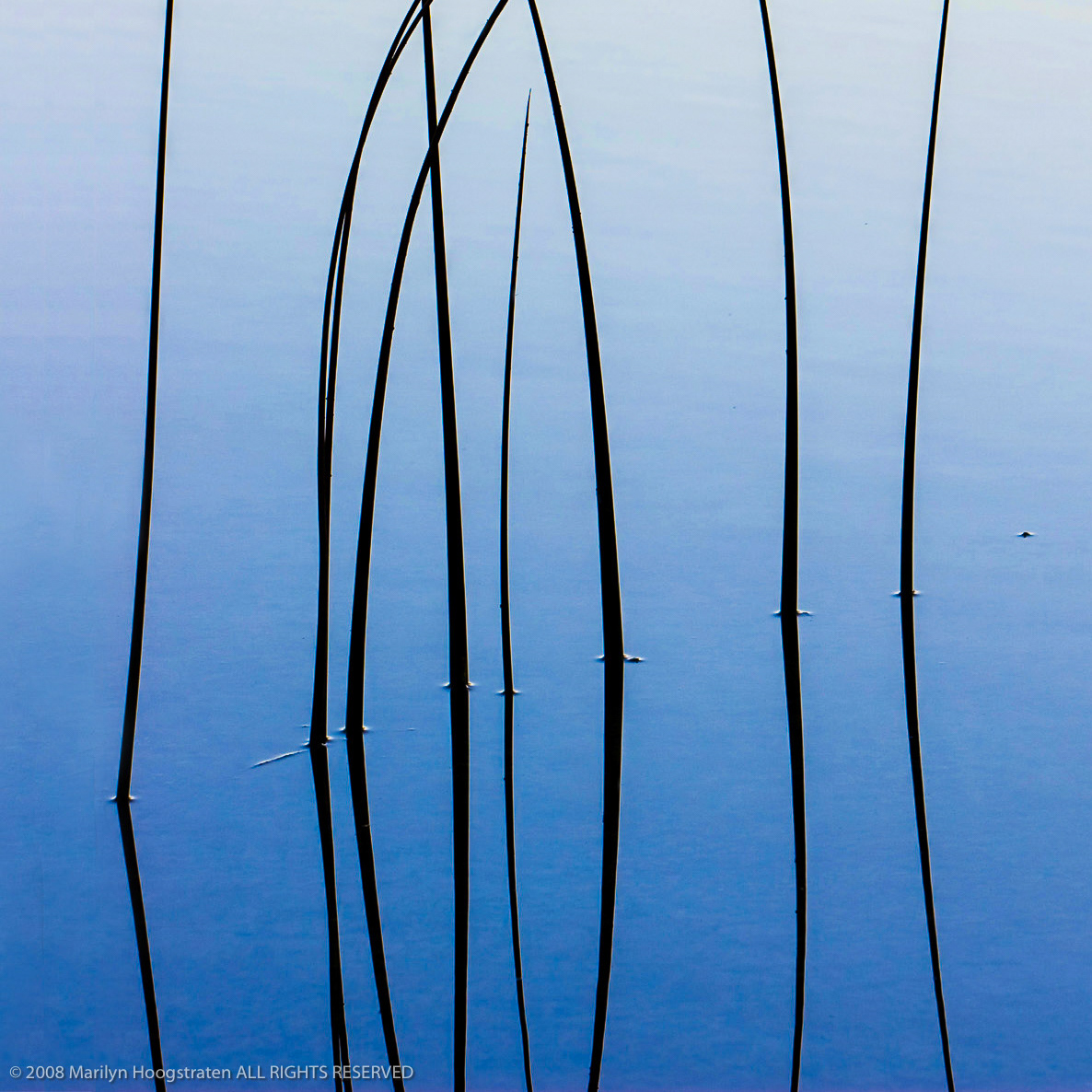 Lake Reflections