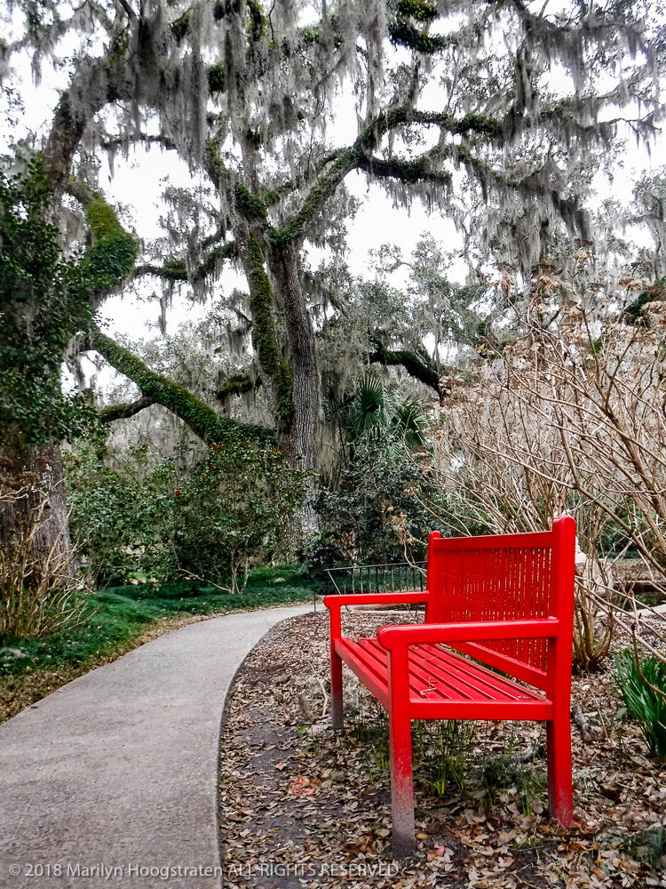 Bench, South Carolina