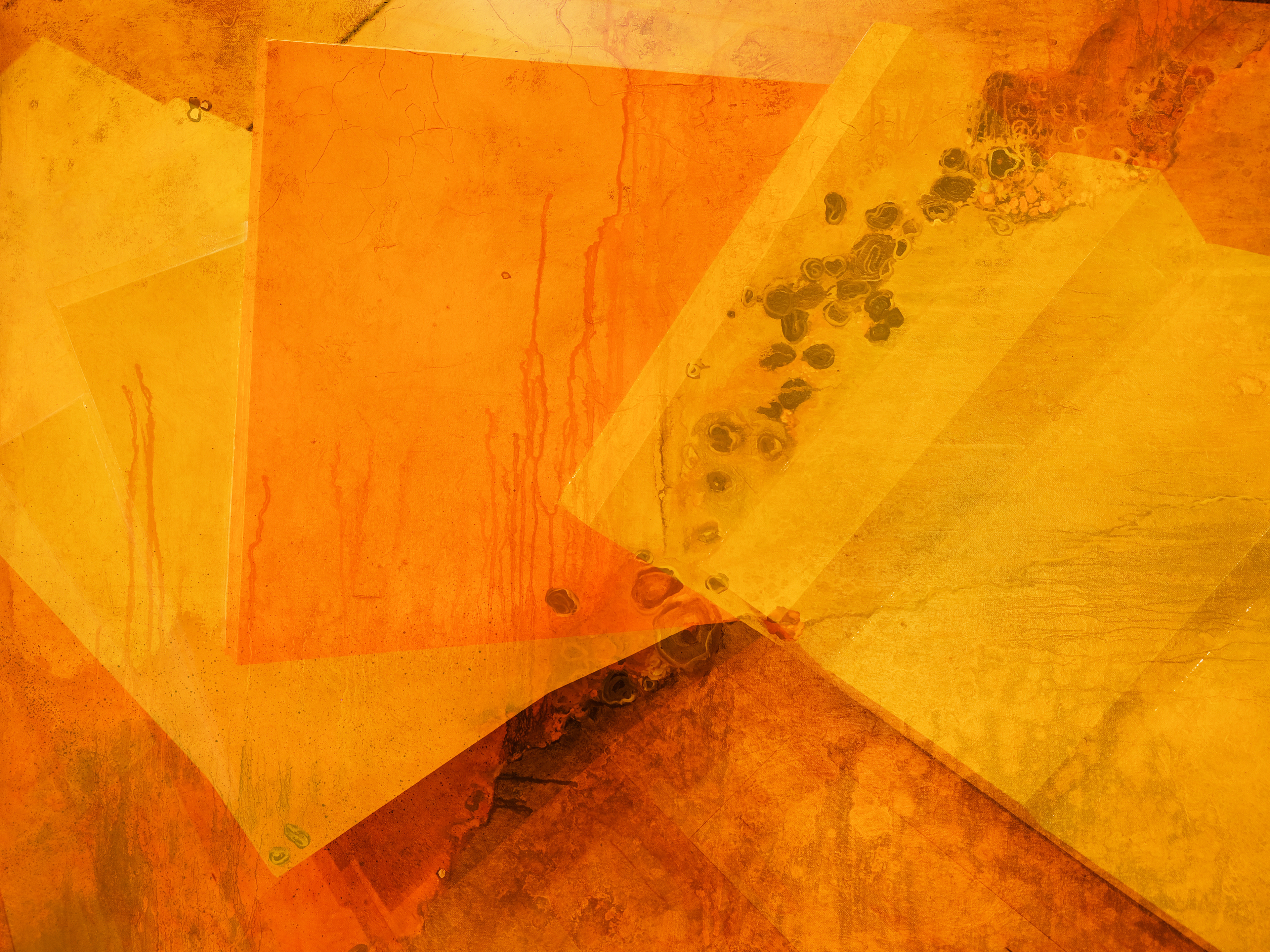 Citrus Reveries
