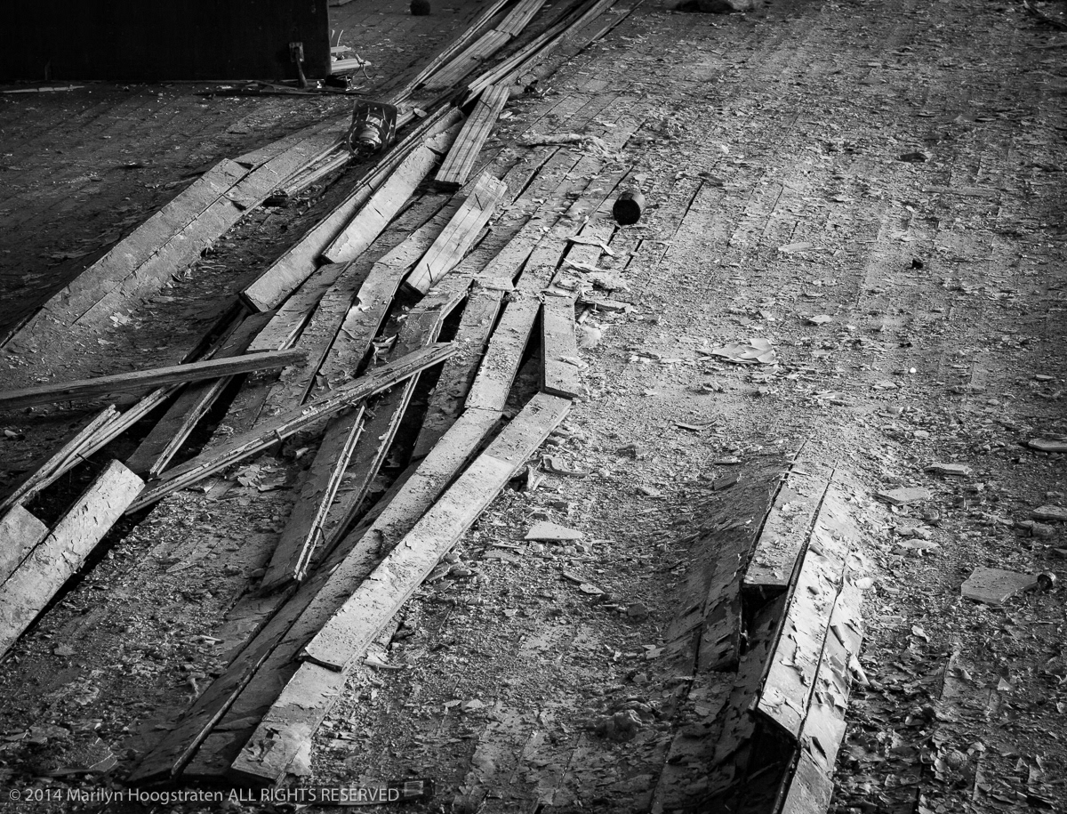 Buckled, Detroit, MI