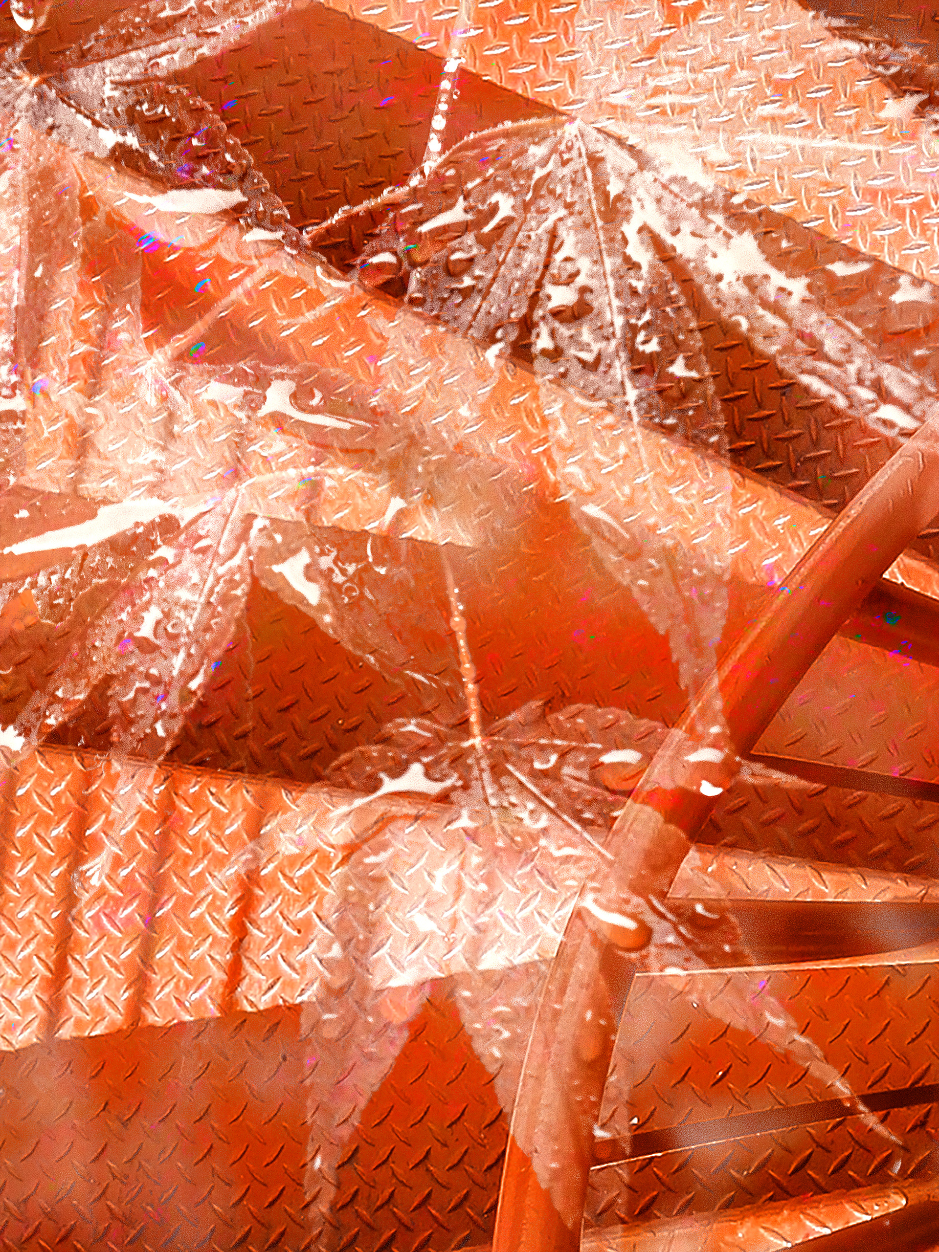 Gossamer Wings