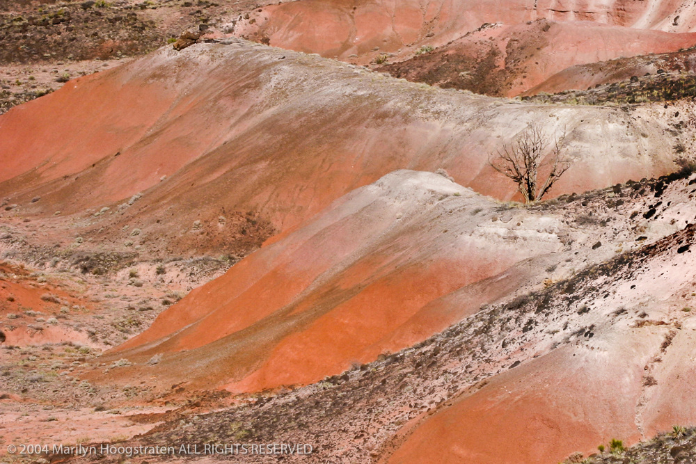 Painted Desert, AZ