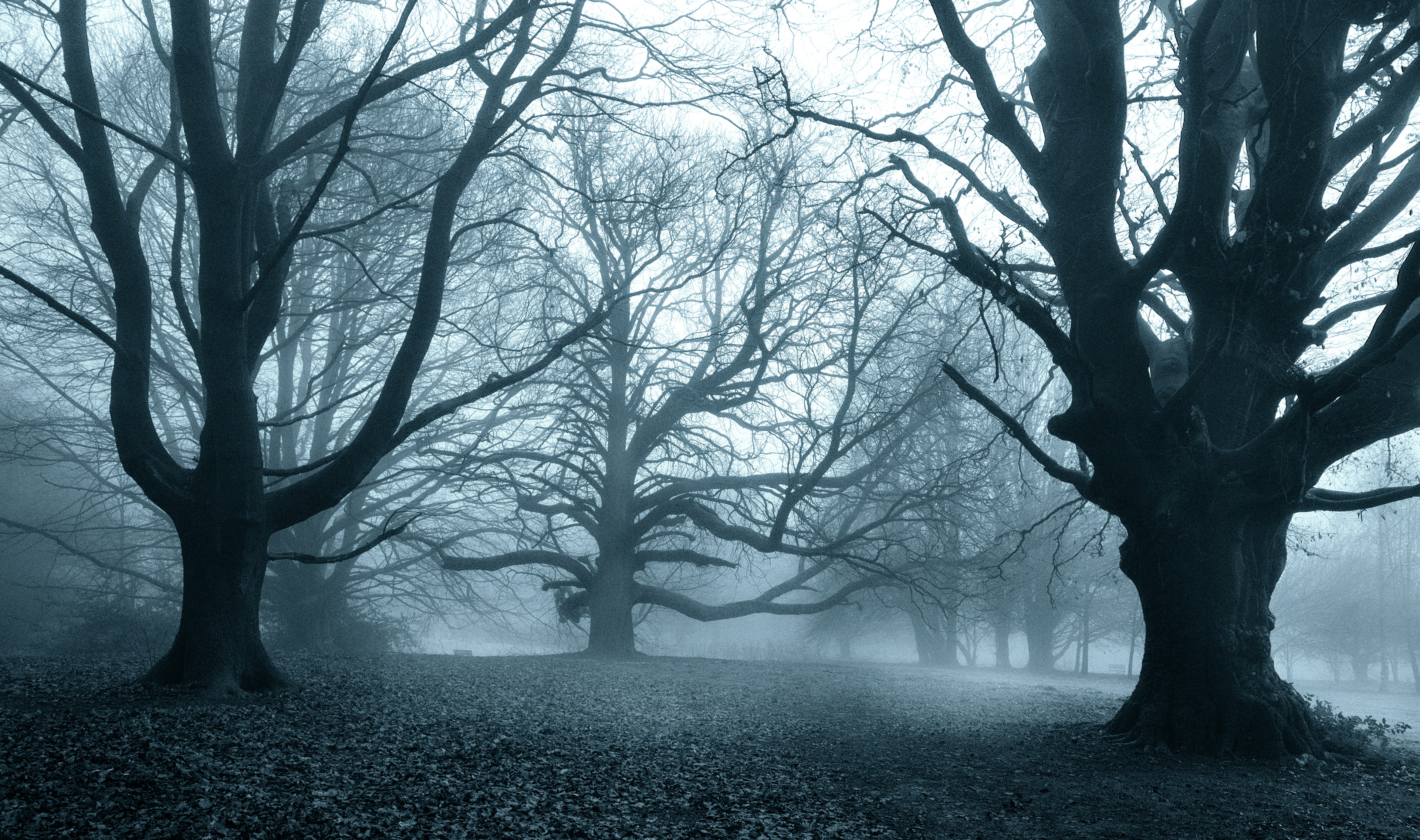 Shipley Park, Derbyshire