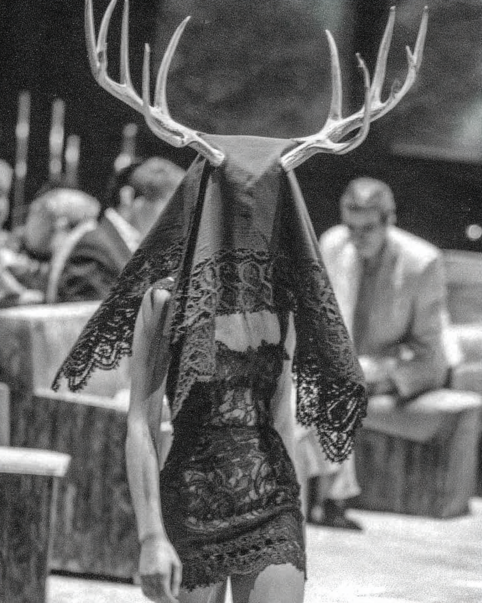 "Inspiration Dante - Alexander McQueen "
